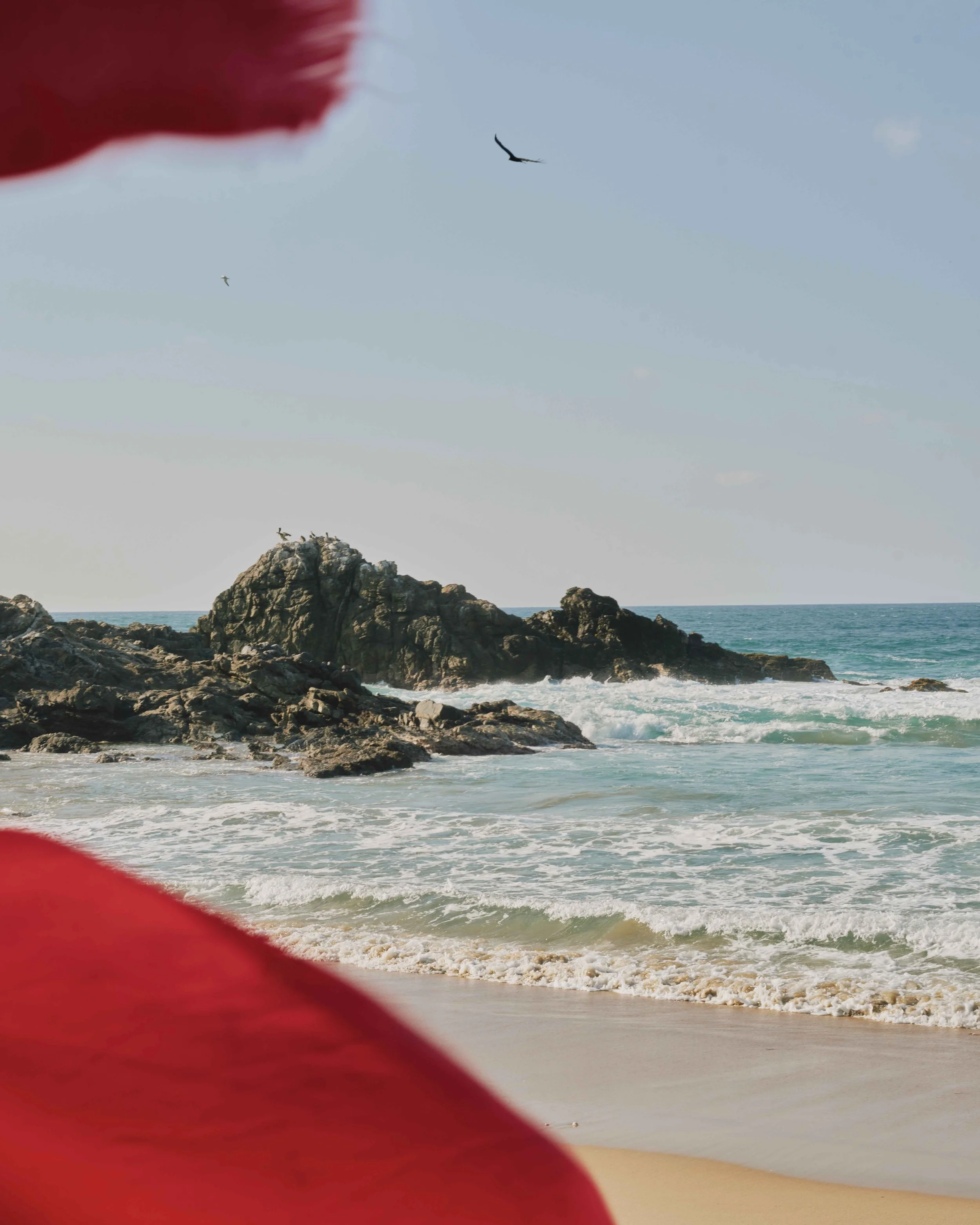 2024_WillNielsen_Oaxaca_ 501 copy 2.jpg