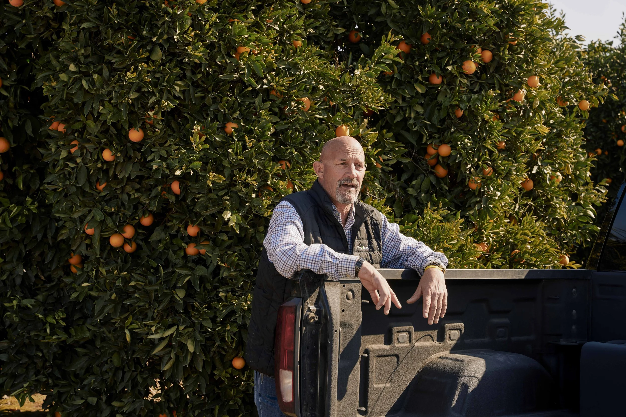 25005_FarmToLabel_CitrusFarm_Still_1156.jpg