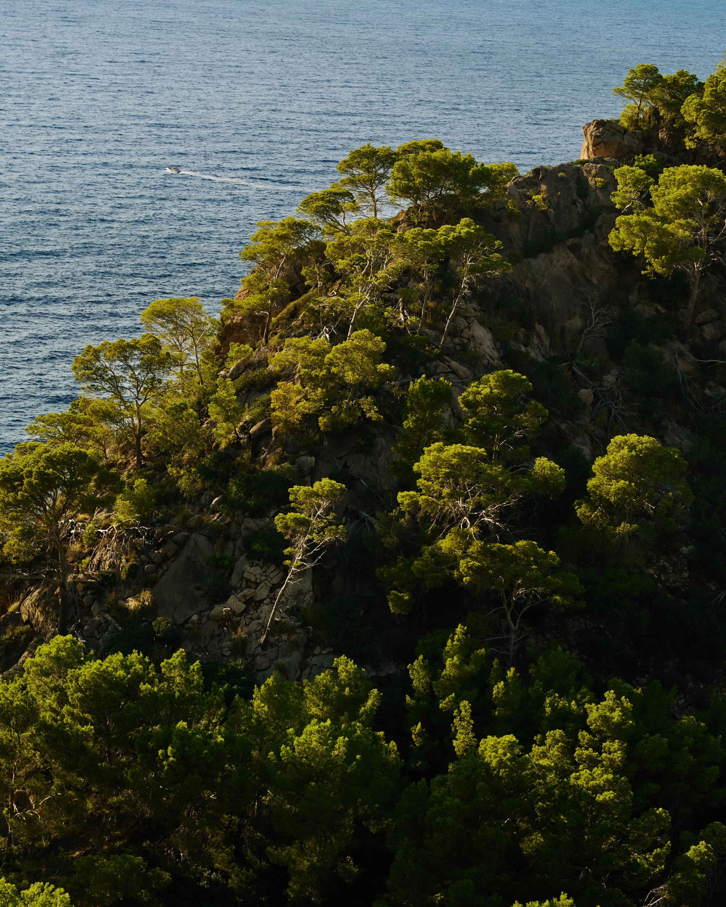 Will Nielsen_Europe_07.jpg