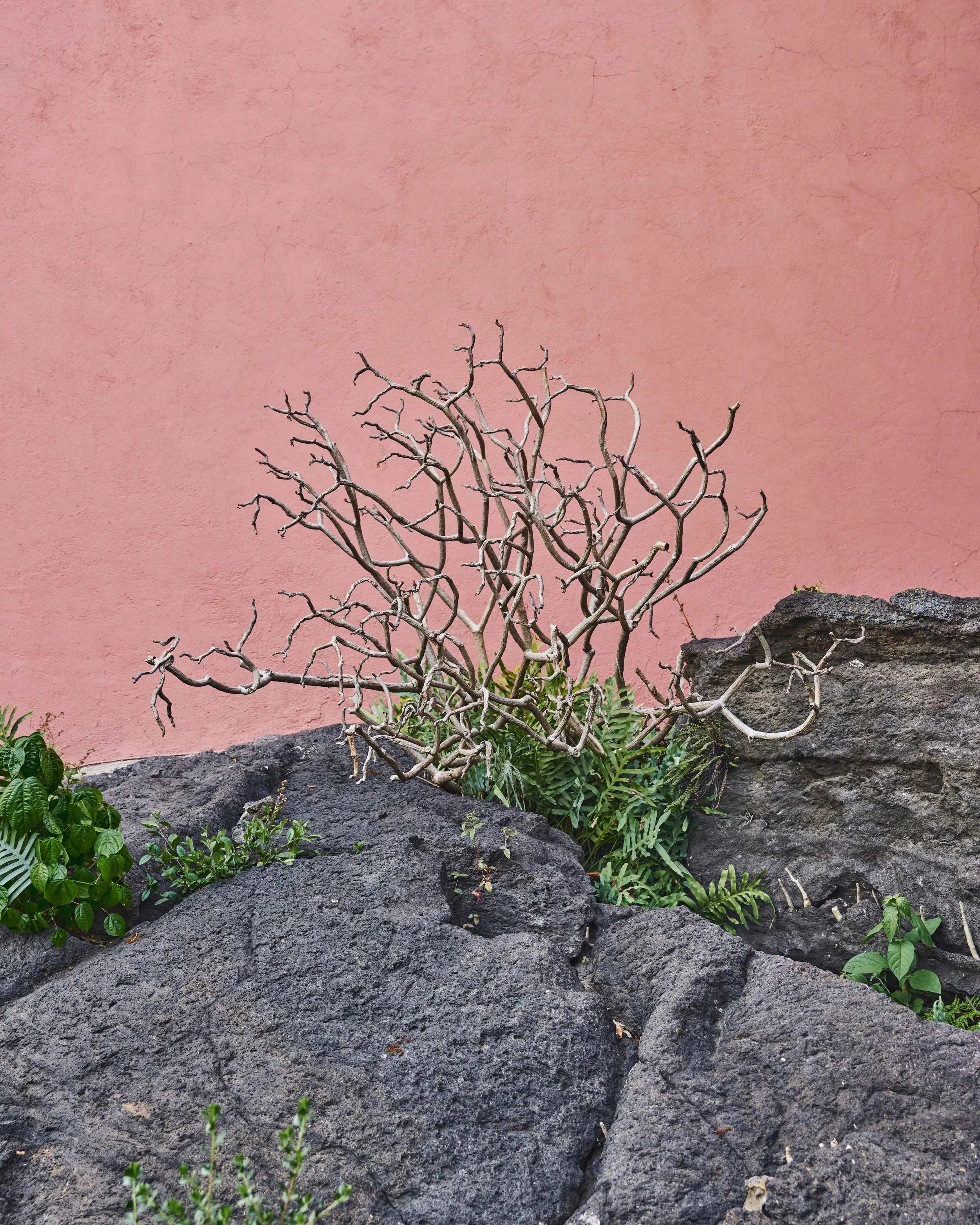 2024_WillNielsen_CDMX 480.jpg