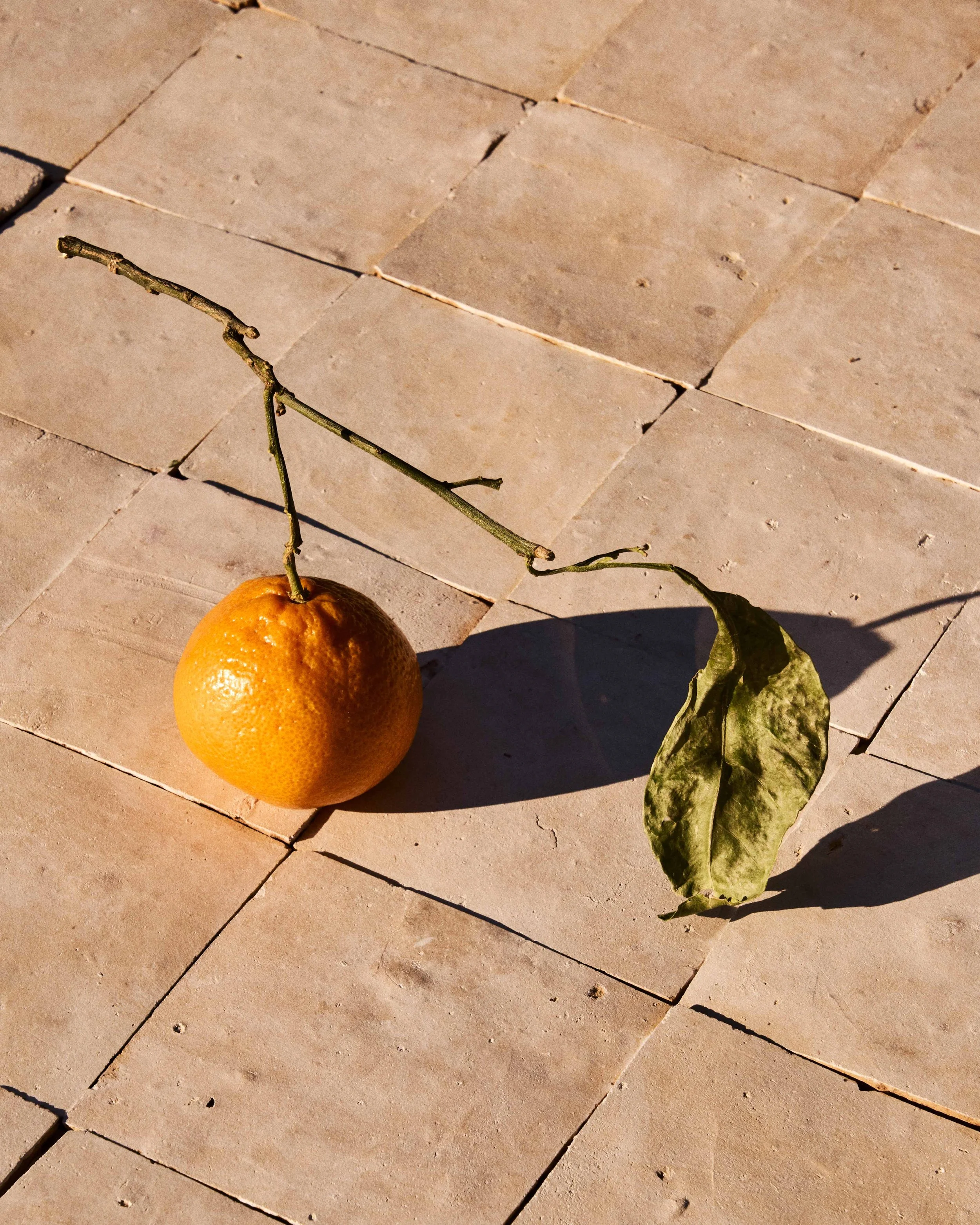 2023_1201_CaseyDobbins_Test 247.jpg