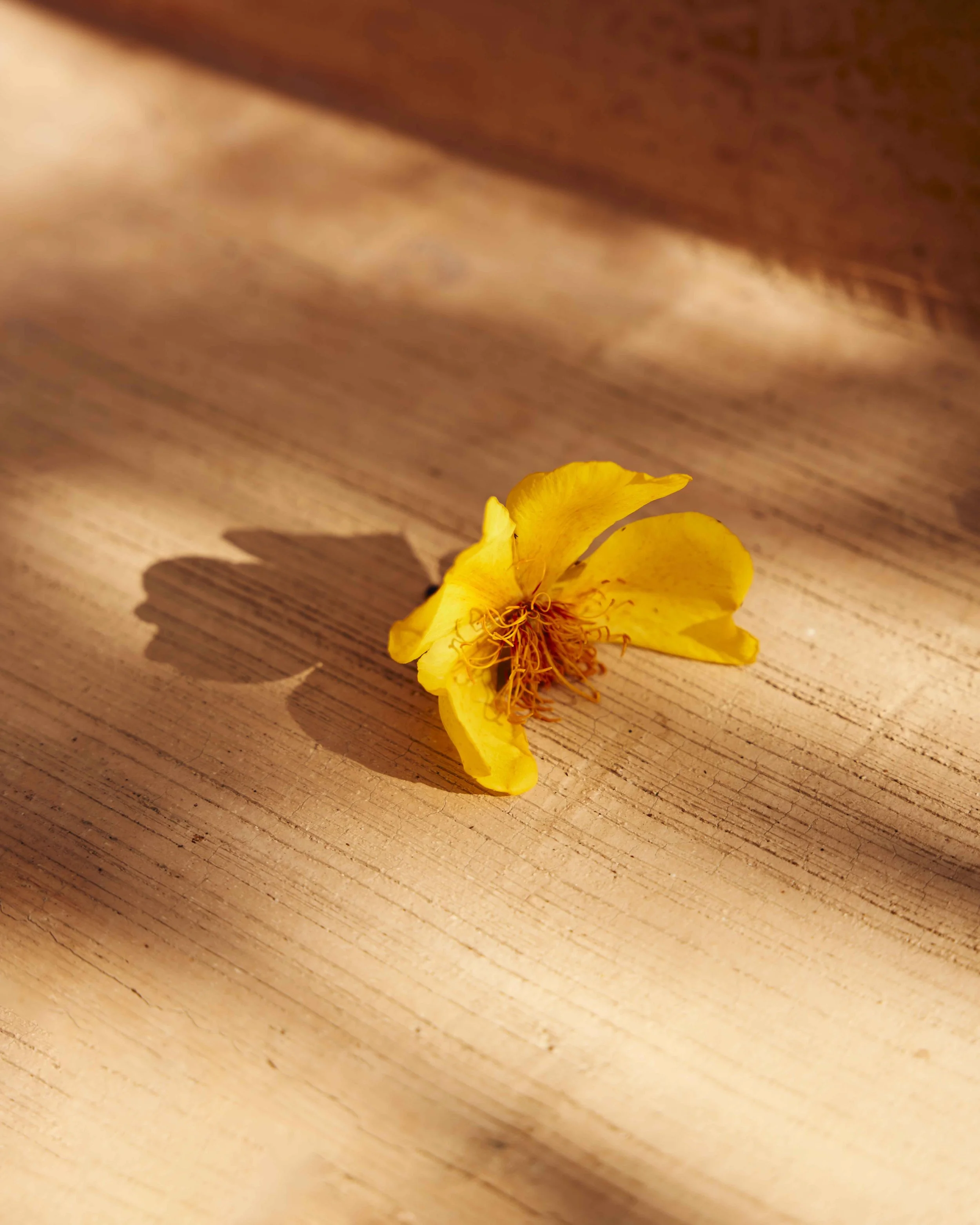 2024_WillNielsen_Oaxaca_ 452-Recovered copy.jpg