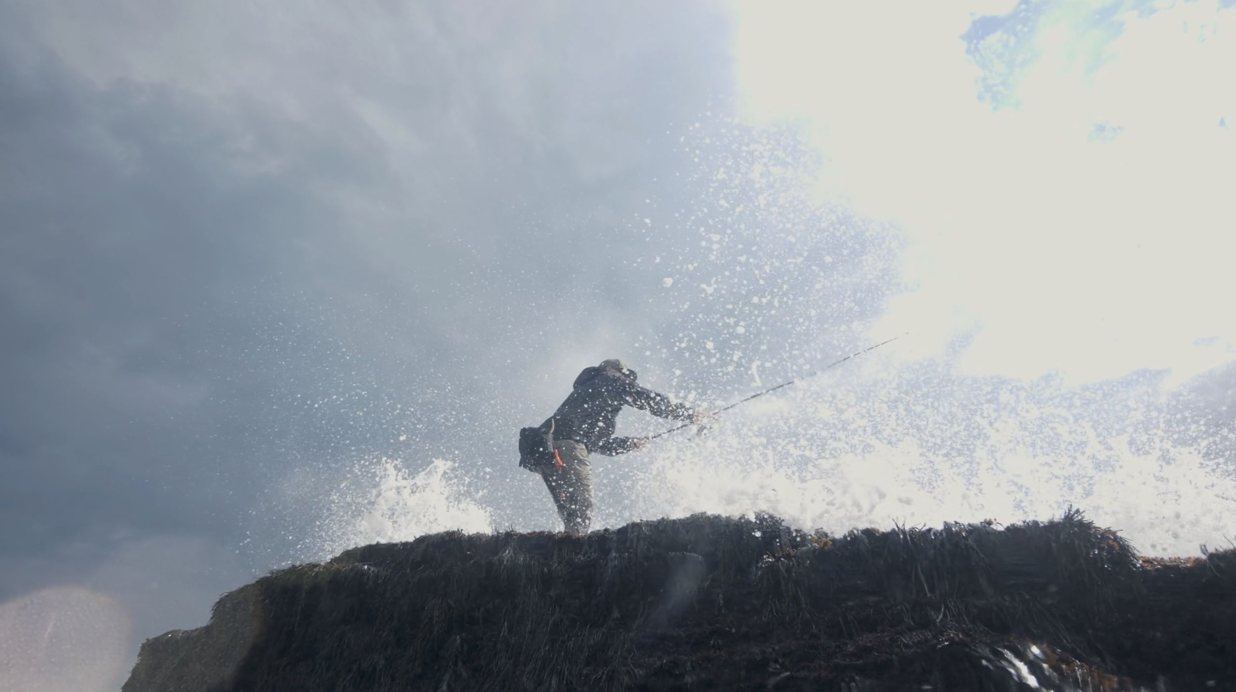 Screen Shot 2024-10-05 at 1.14.29 PM.png