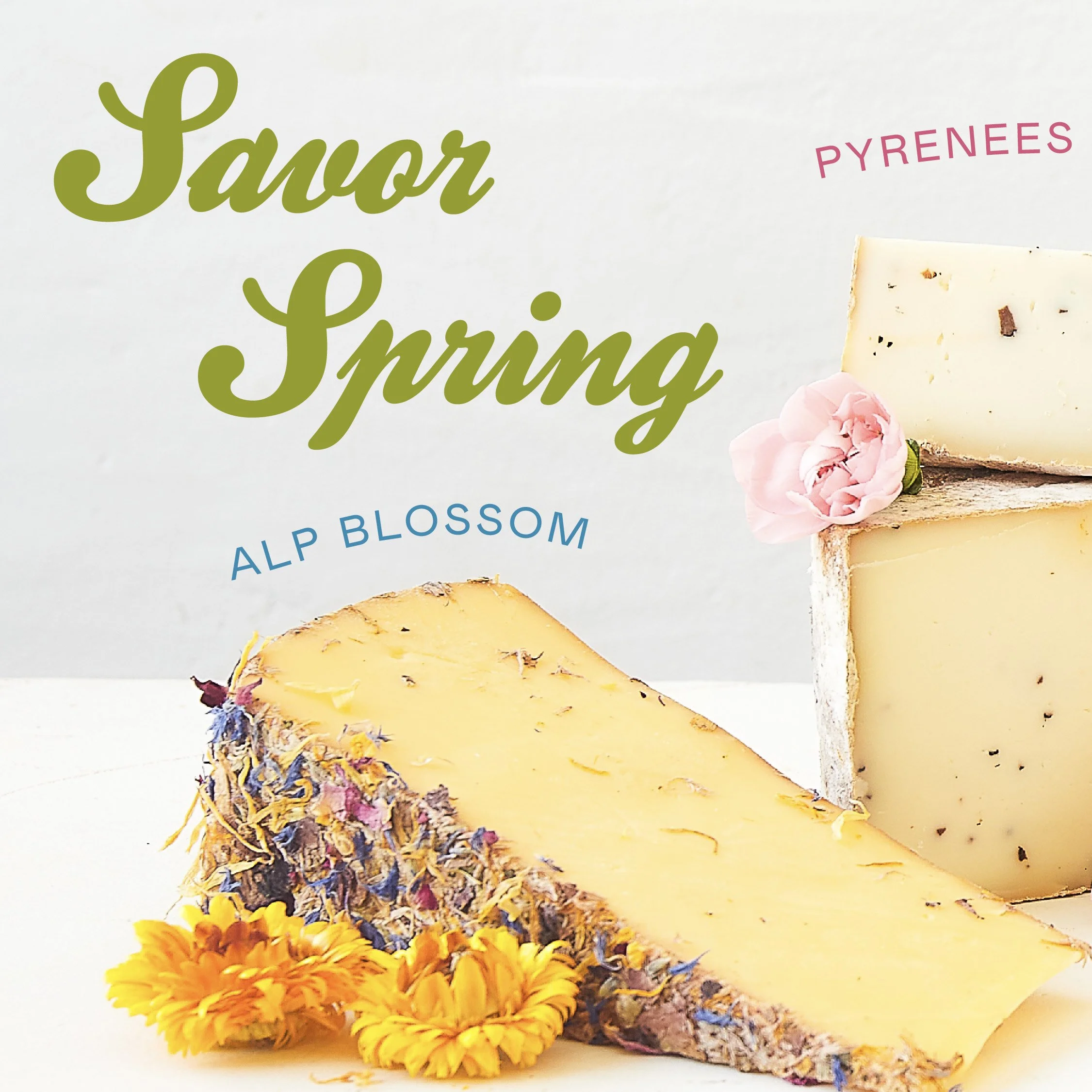 savor-spring-carousel-01 copy.jpg