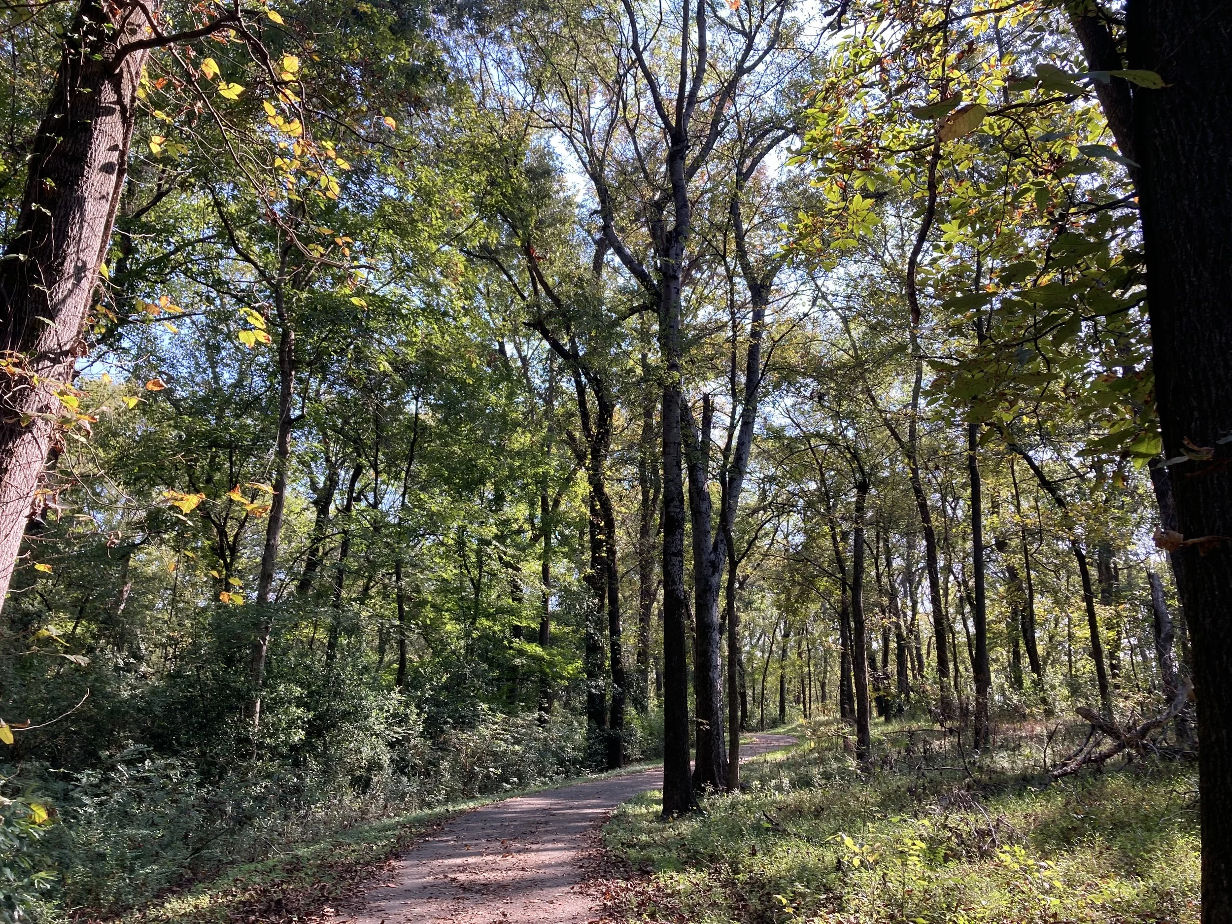 Student &amp; Family Hiking Day