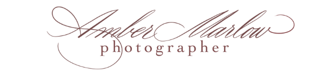 Amber Marlow, wedding photographer