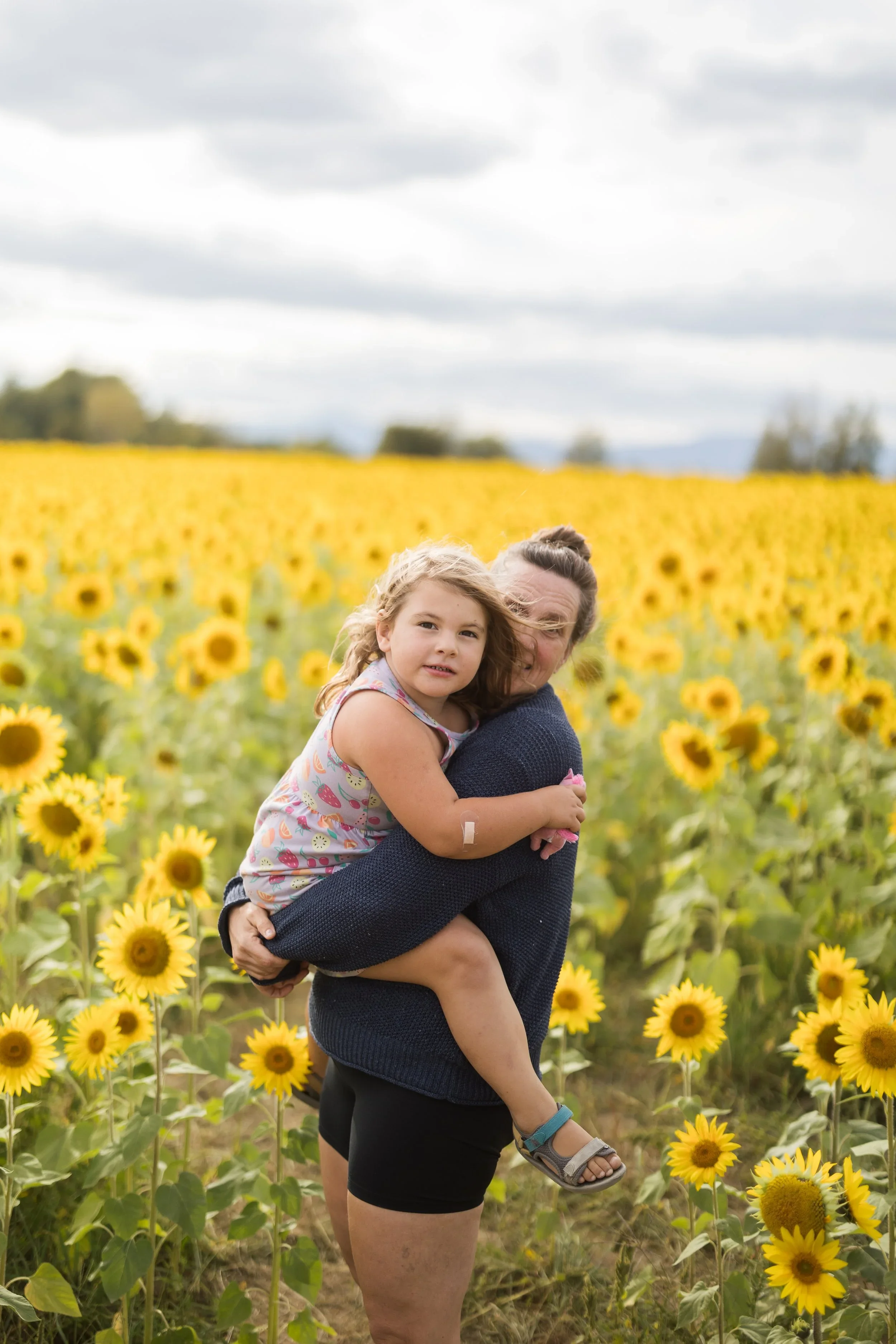 11+mp+sunflowers.webp