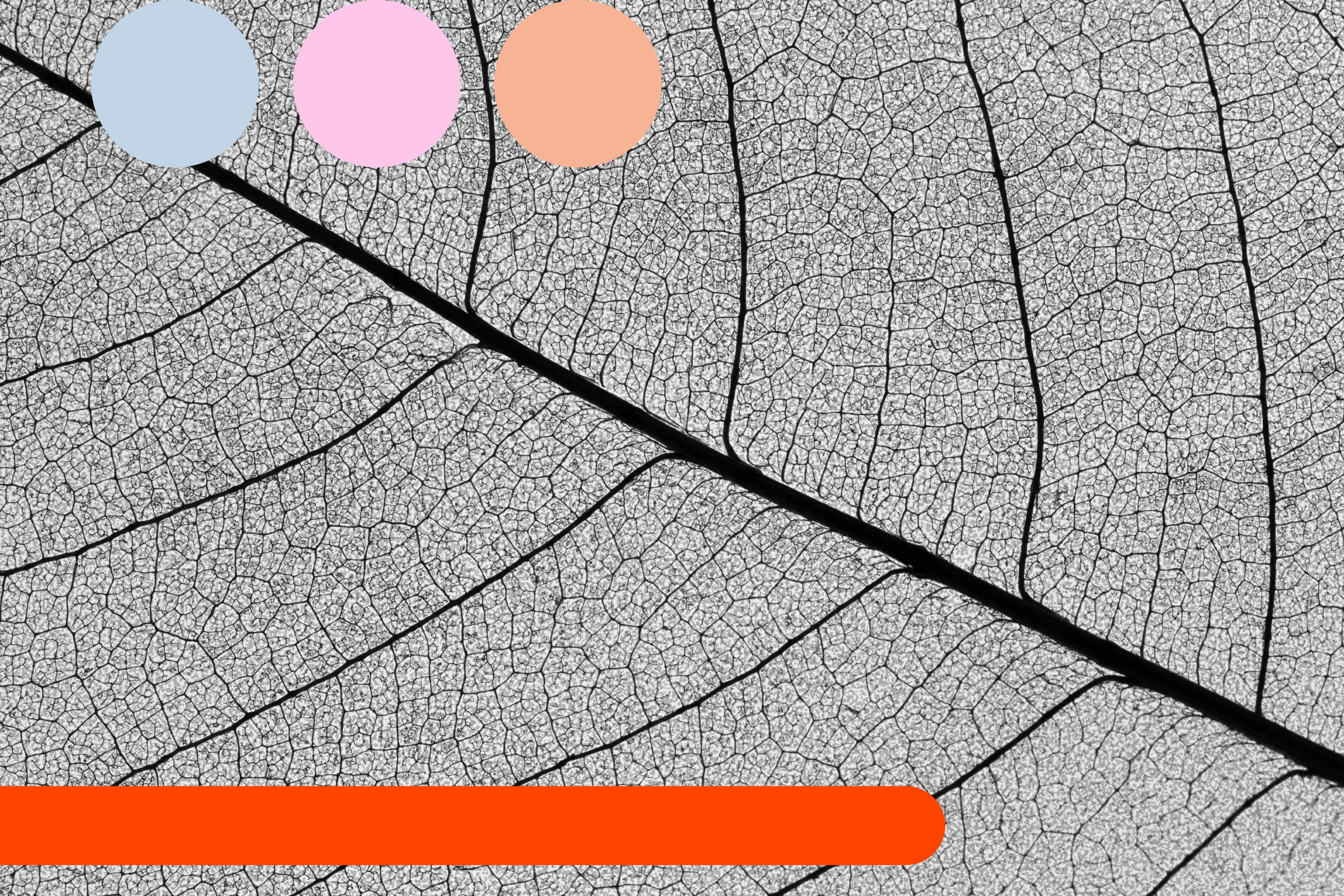 Mind the pay gap: Why behavioural science needs salary transparency now