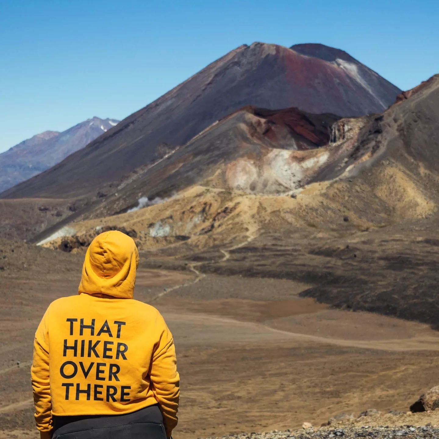 At long last, the THOT hoodies are really real and you can have your very own. You can also enjoy some photos of me awkwardly attempting to model this while hiking in New Zealand.