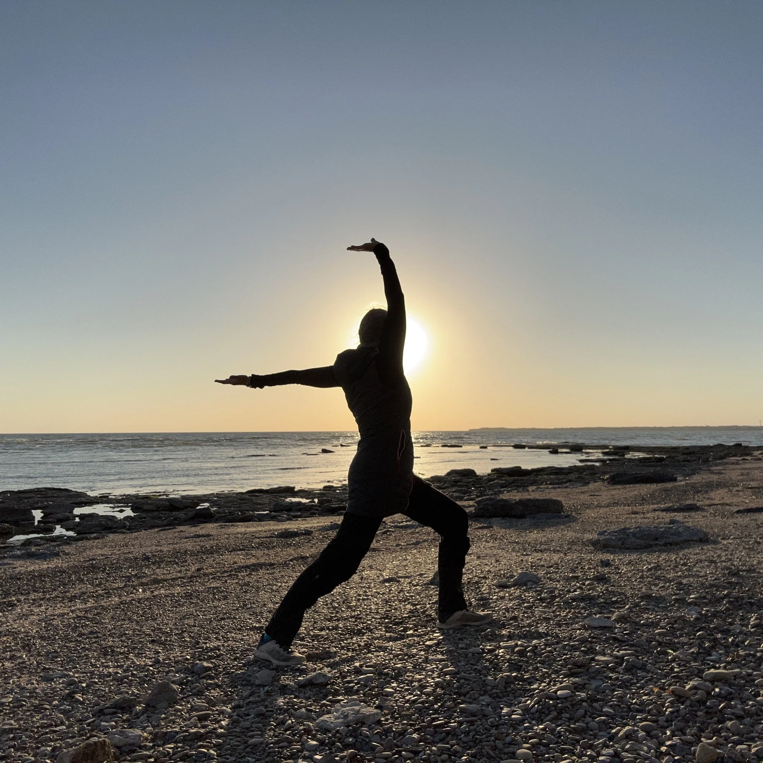 EVOLVE Devotion for Alchemical Transformation Mentorship