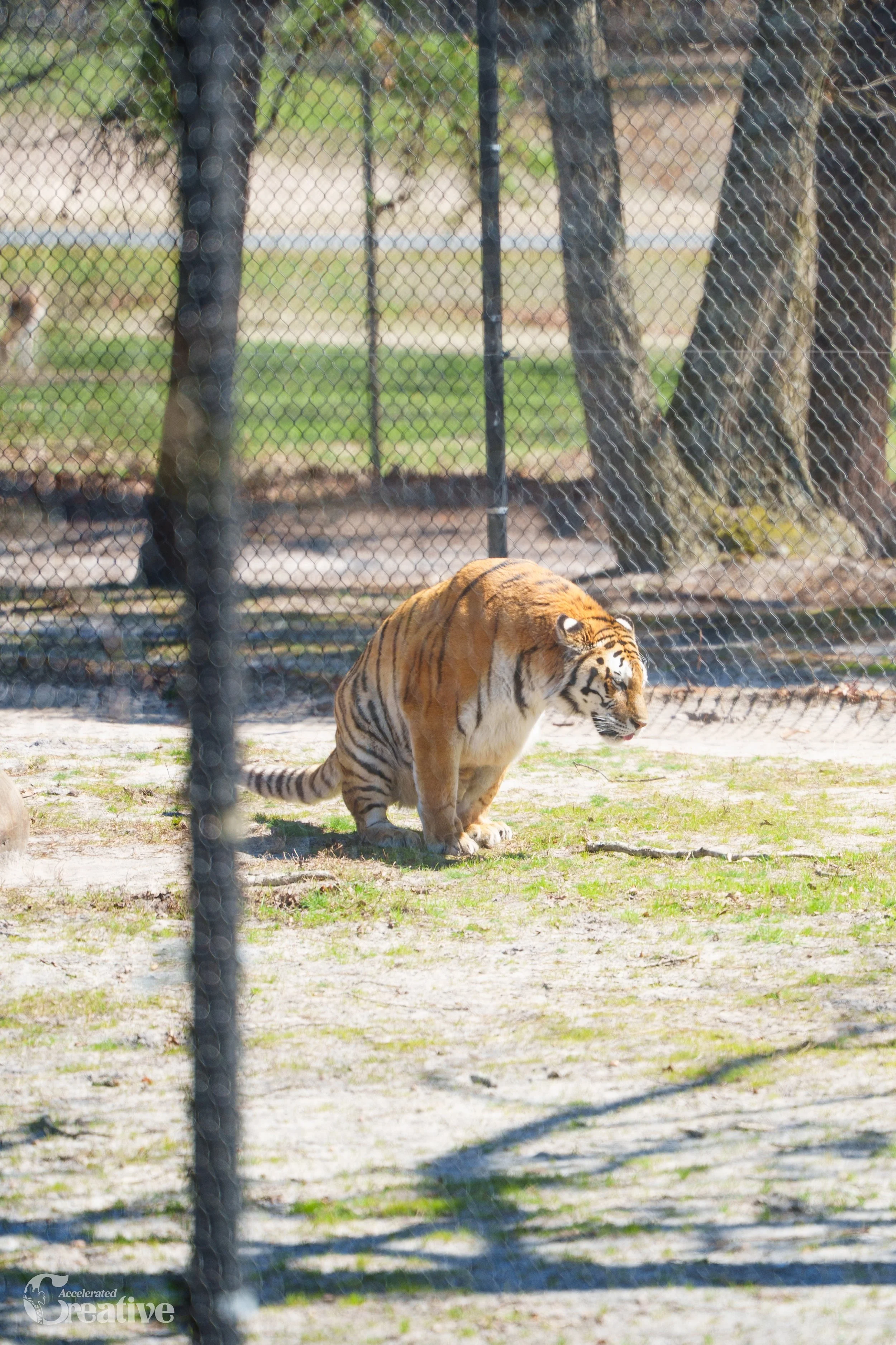 DSC06345.JPG