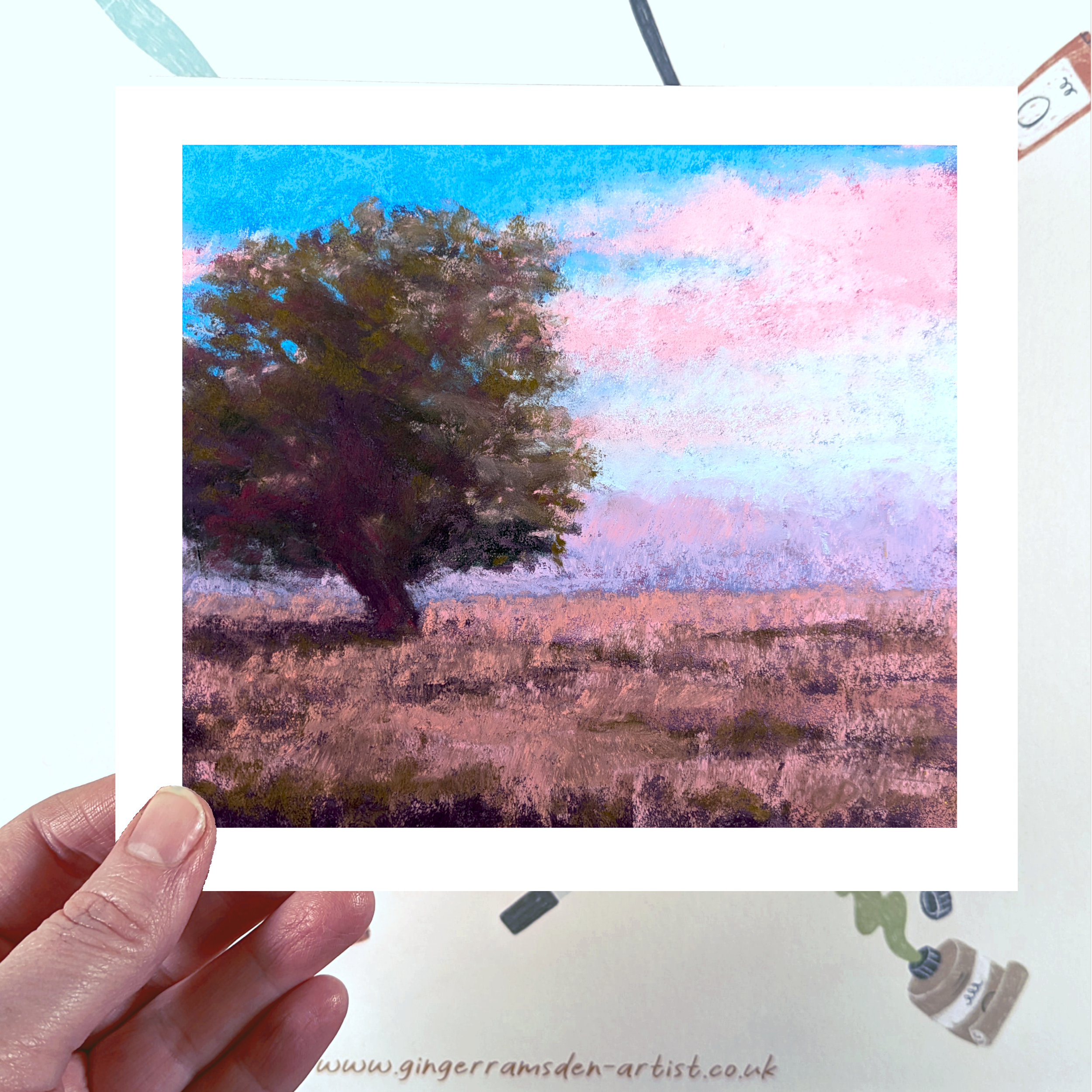 pink fields.png
