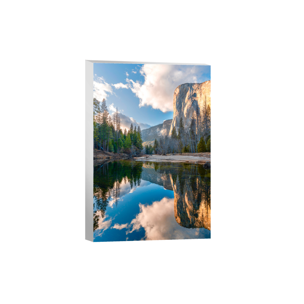 ptq_7_3_442_0_4420_6630_0_false_ffffff_0_0_.png