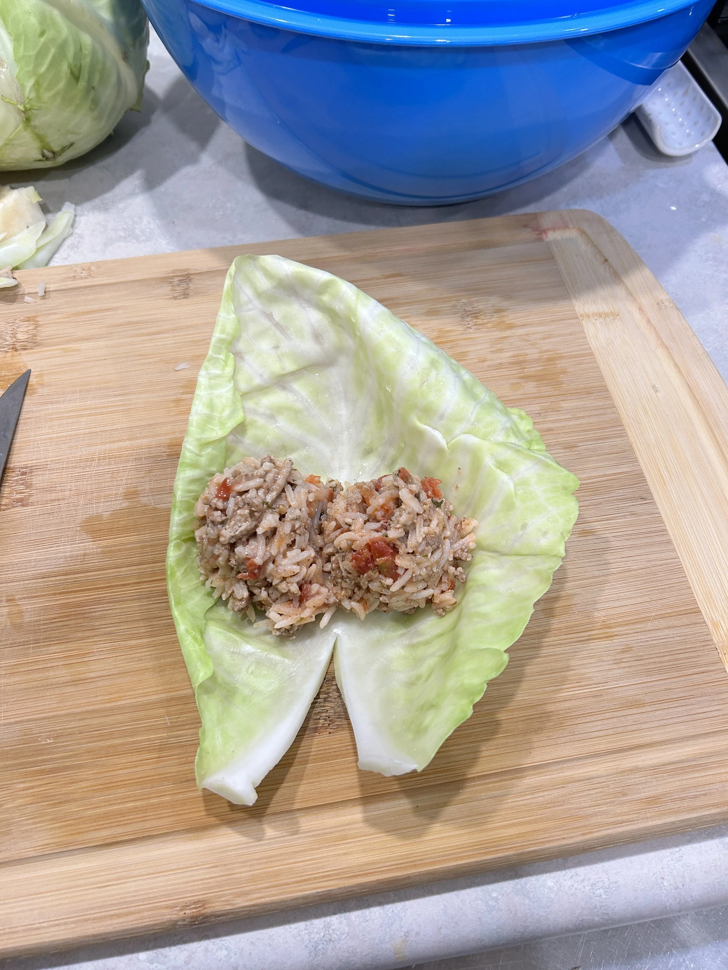 Cabbage Roll 1.JPG