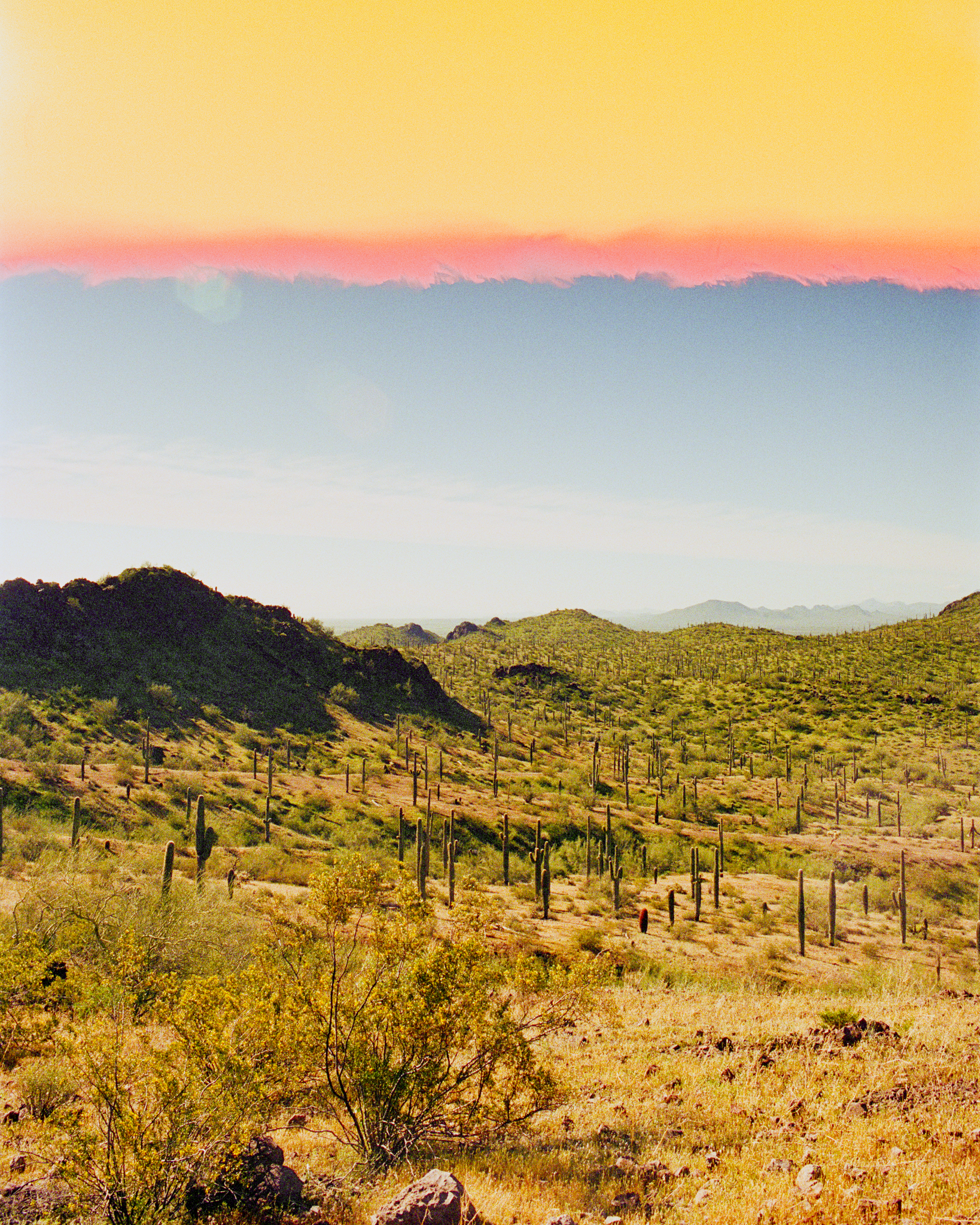 IMG_2317.png