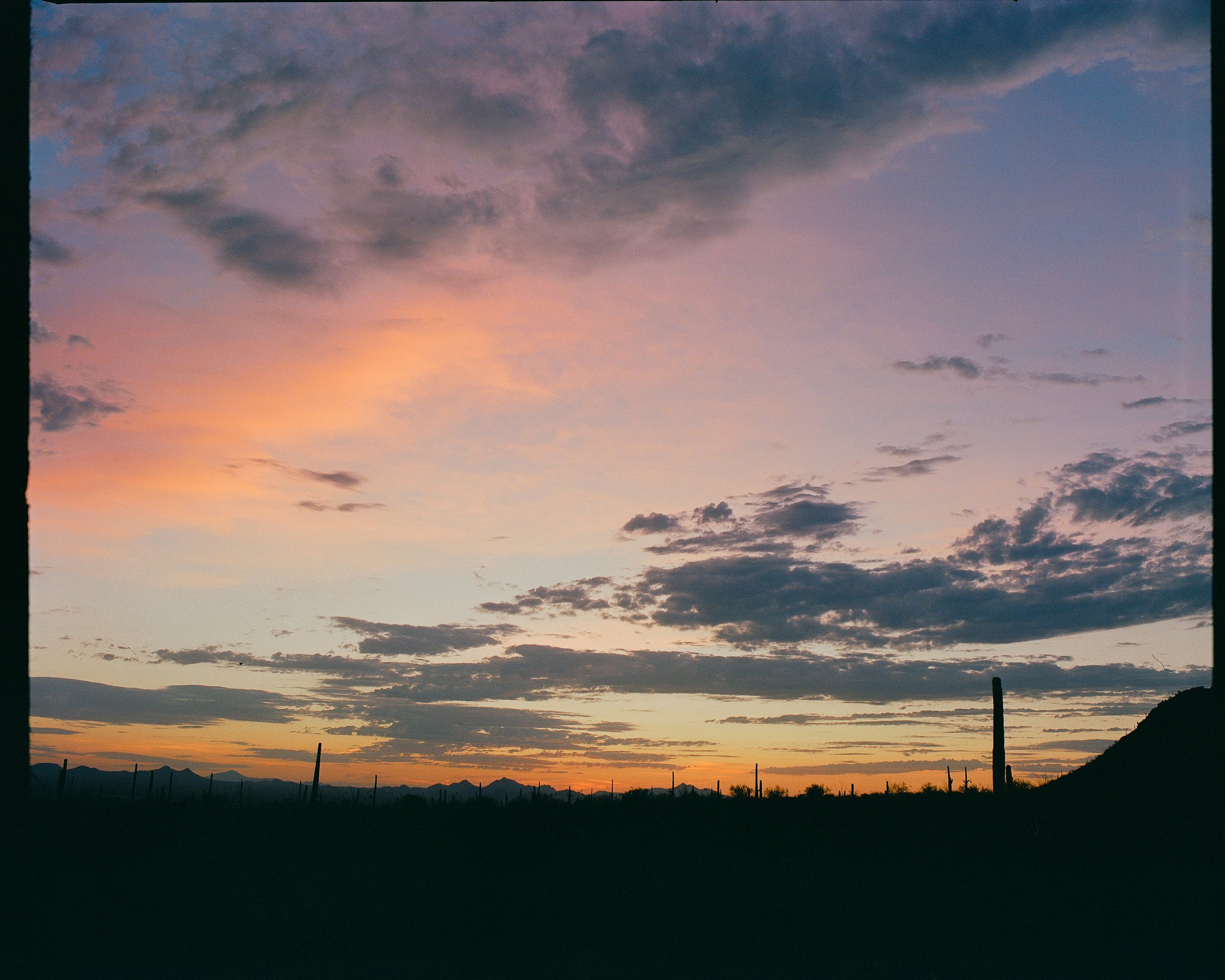 Arizona Sunset / Saguaro National Park, AZ