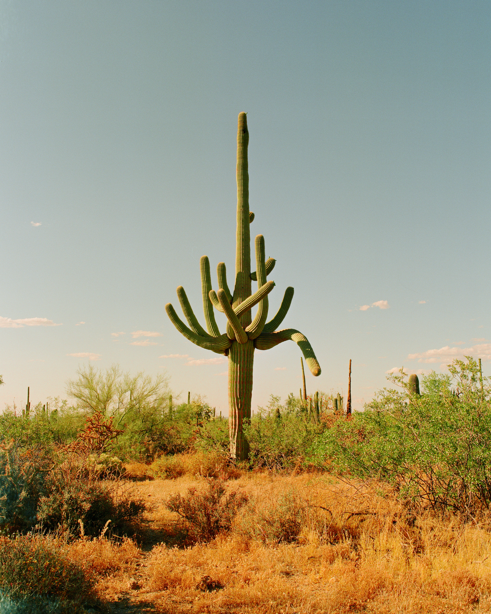 StandTall_Small.png