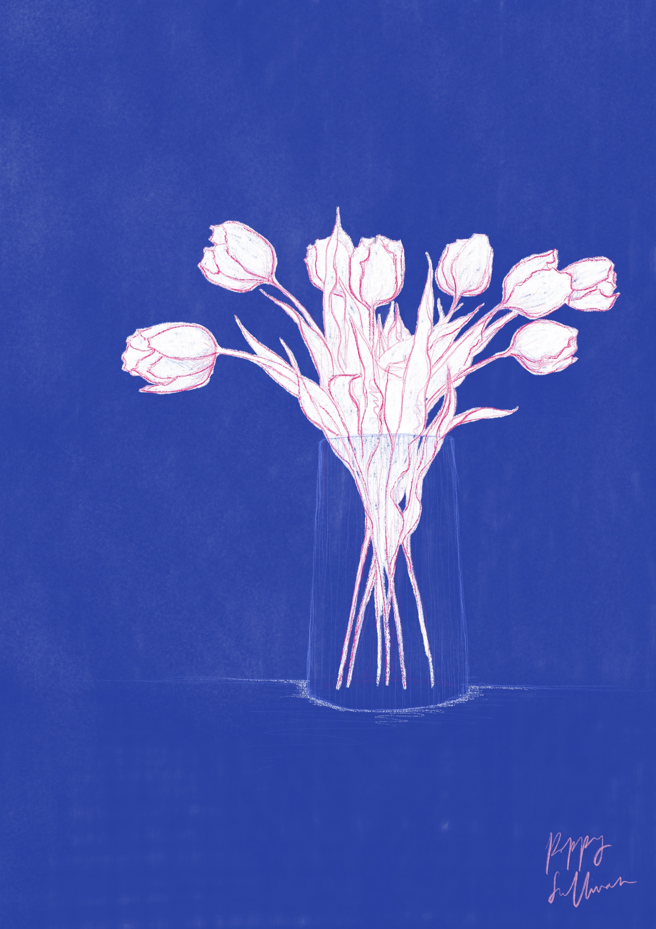 Electric Blue and Pink Tulips.jpeg