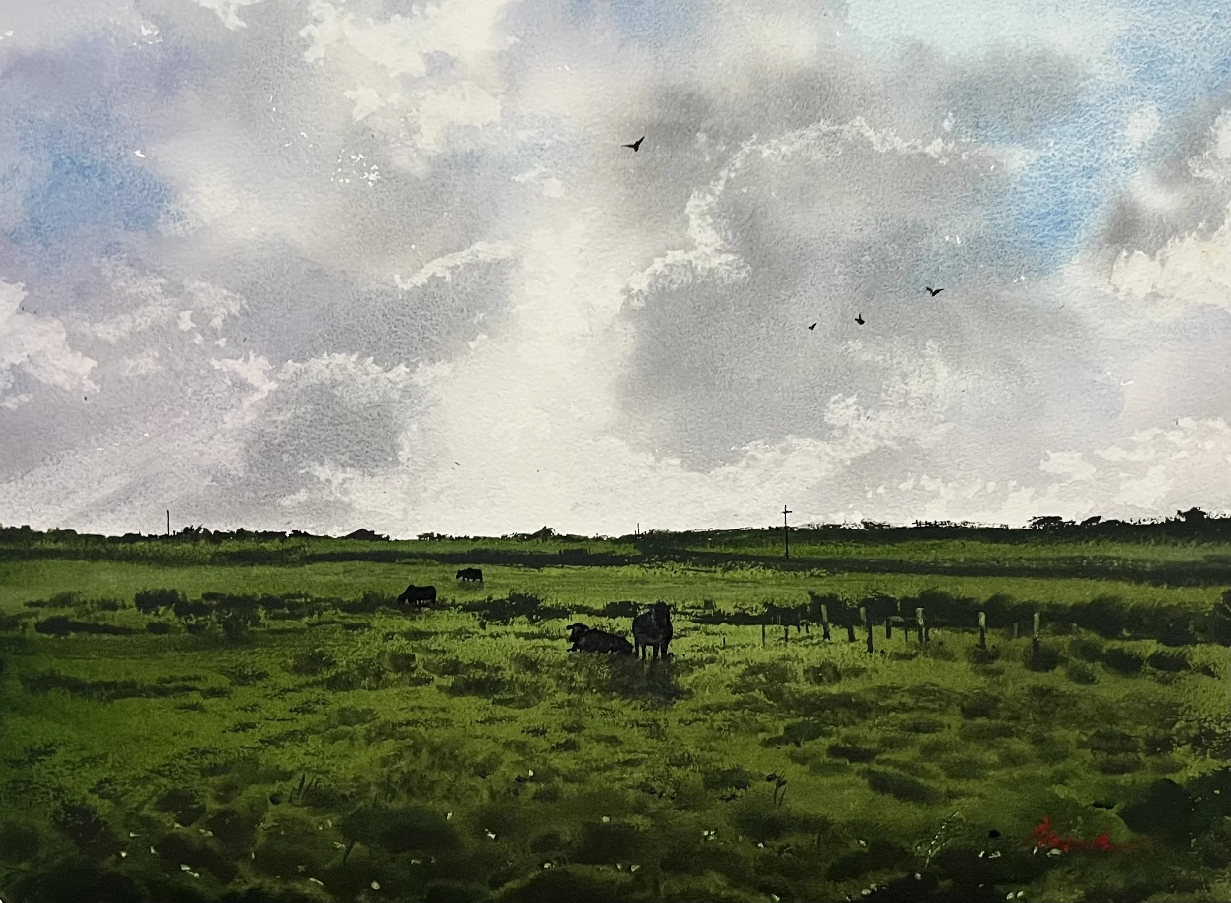 Glow in Watercolour, Toukley NSW