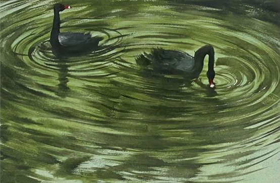 swans.png