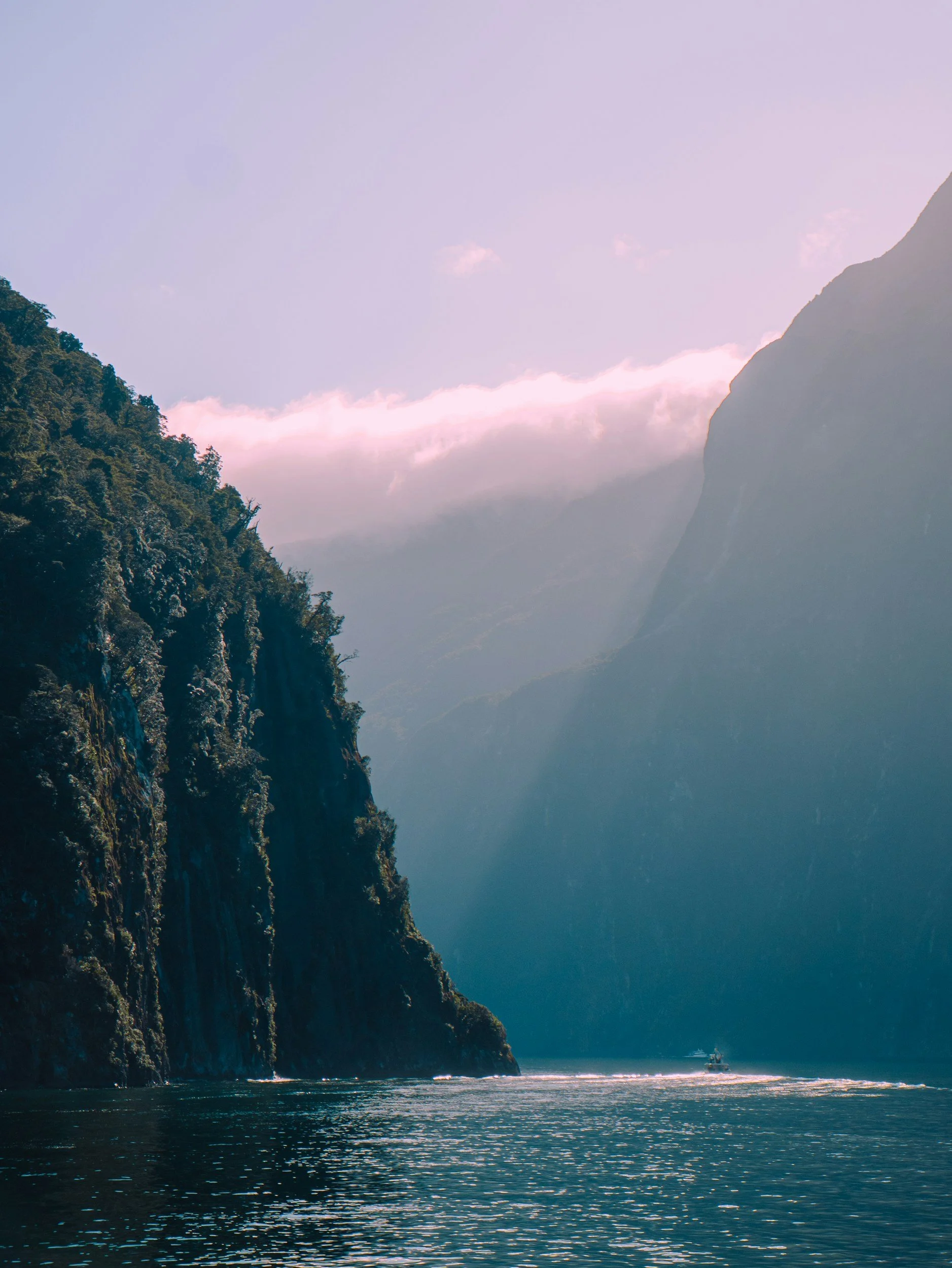 unsplash-image-cSNZxdUFucE.jpg