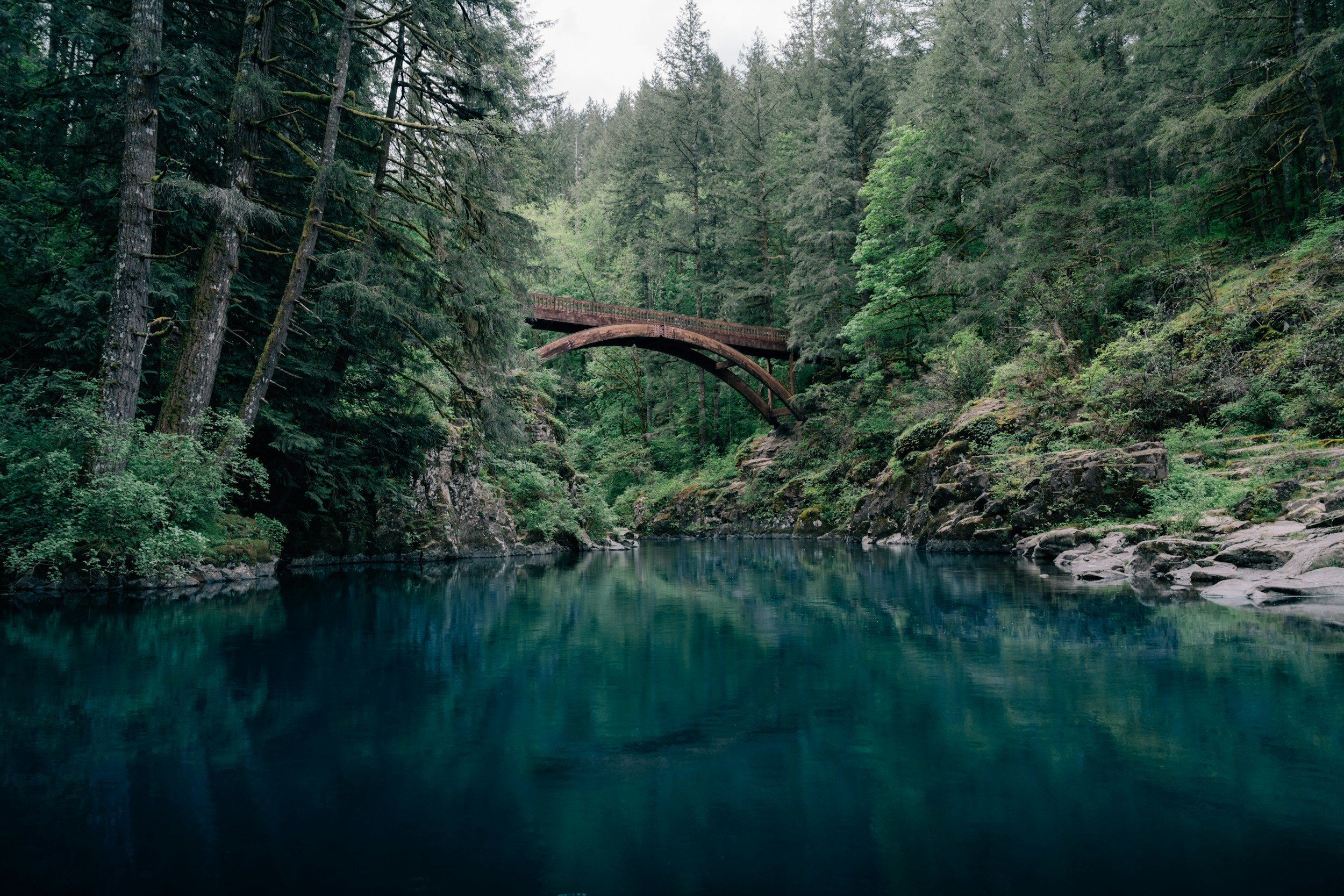 unsplash-image-B-XnkHr9ido.jpg