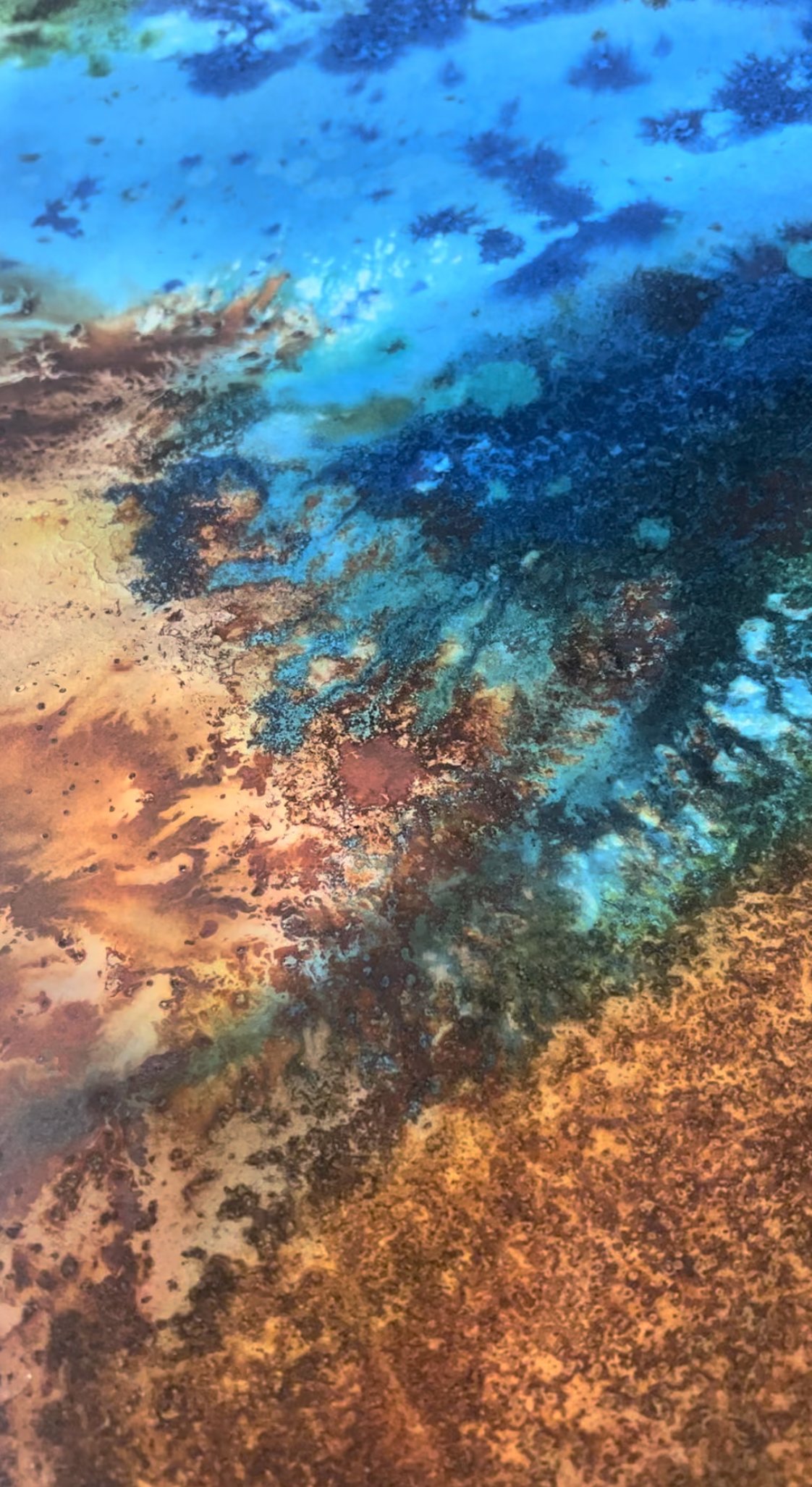 Coral Mosaic I