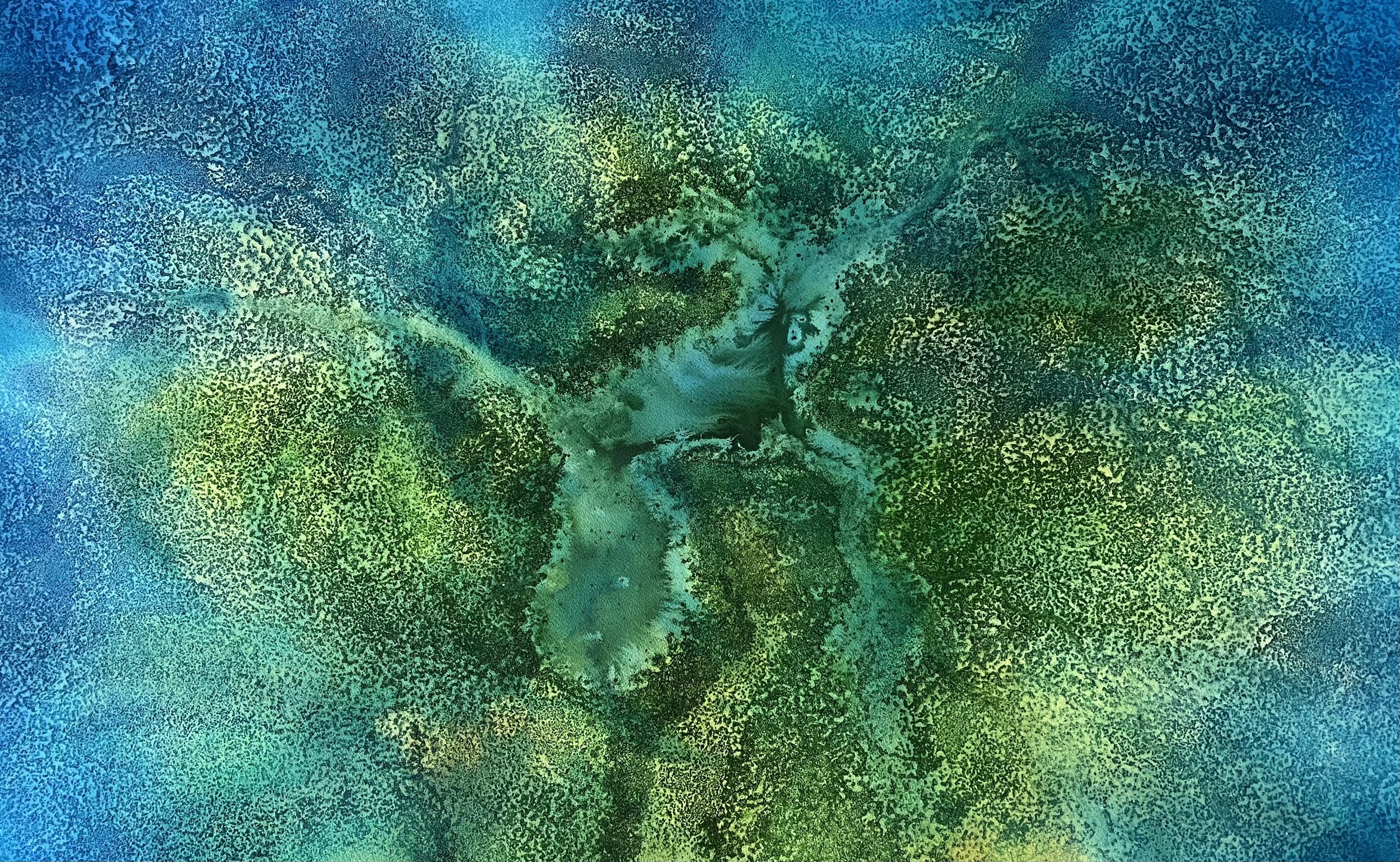 Blue Green Mangroves