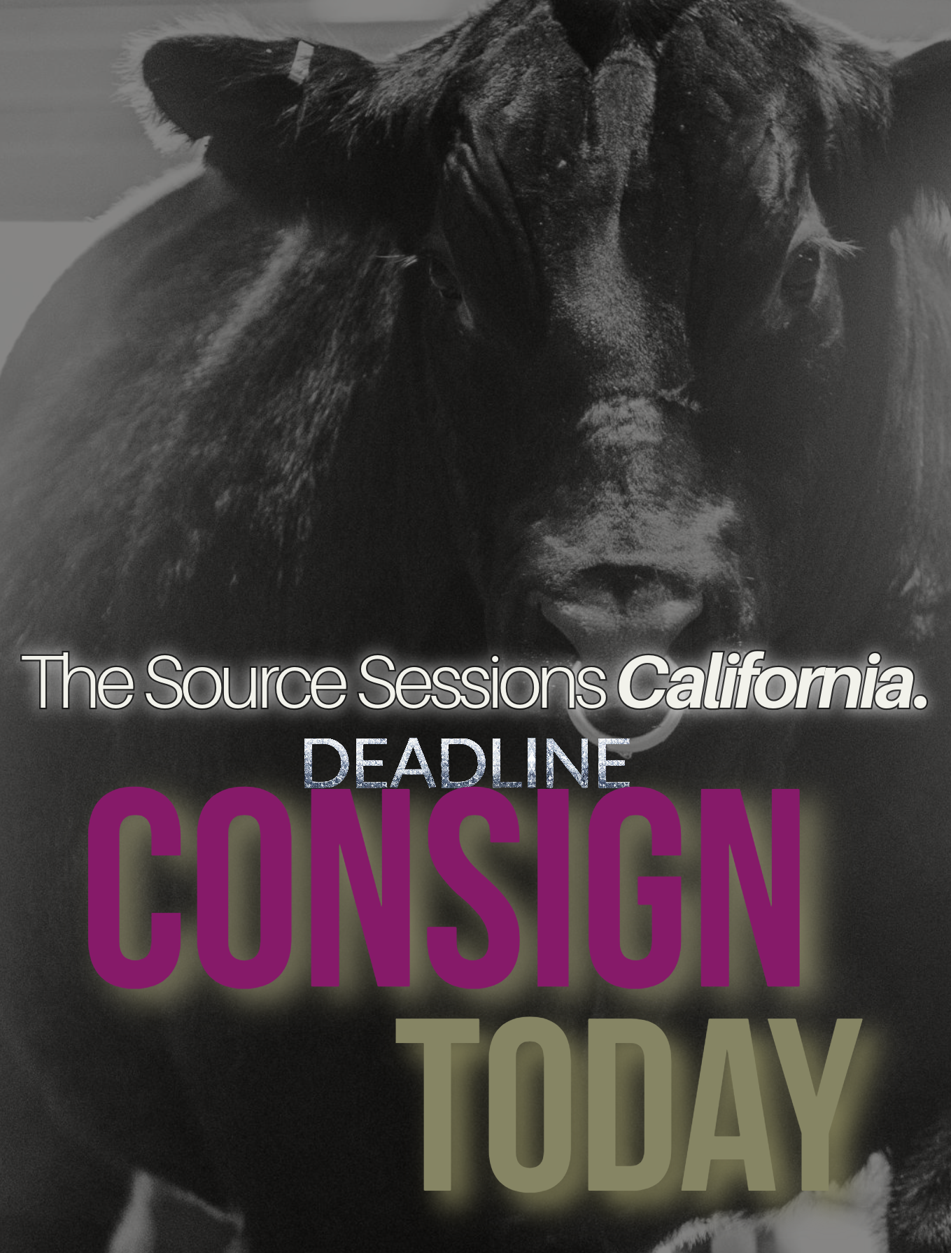 CONSIGNMENT DEADLINE: The Source Sessions California