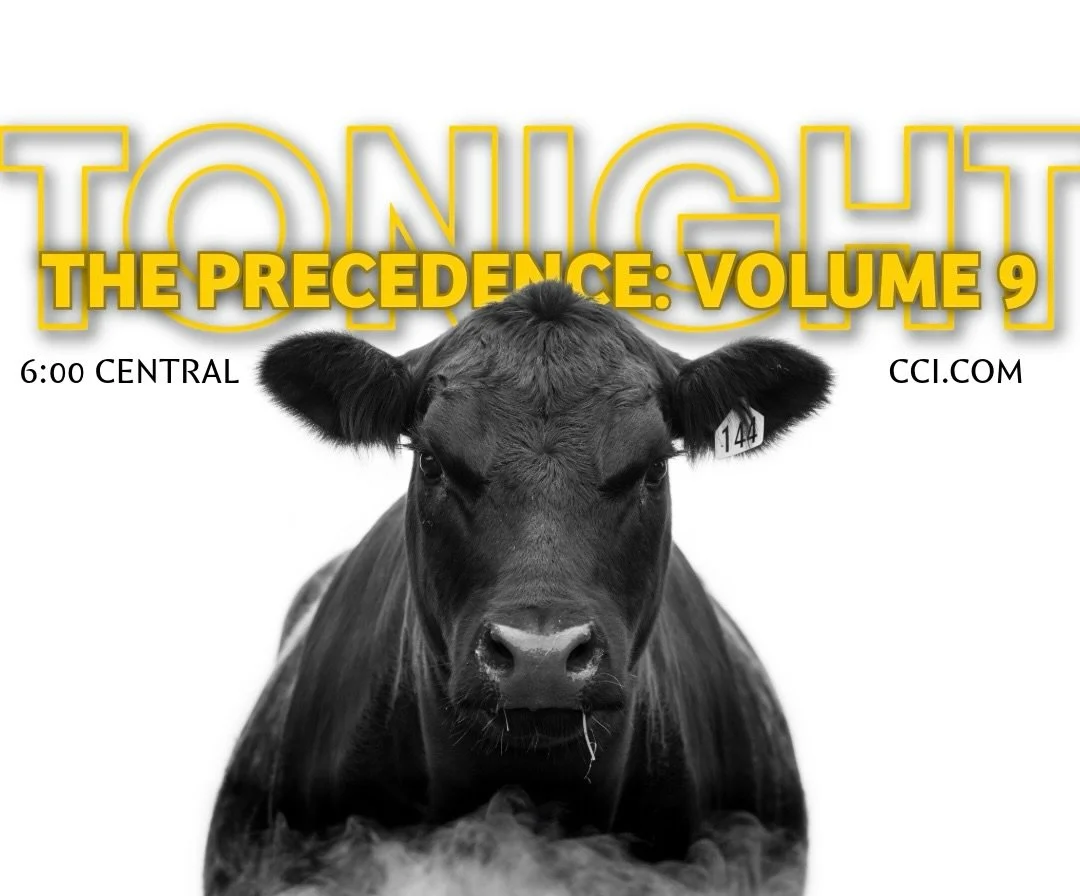 𝗧𝗵𝗲 𝗣𝗿𝗲𝗰𝗲𝗱𝗲𝗻𝗰𝗲: 𝗩𝗼𝗹𝘂𝗺𝗲 𝟵
𝖶𝖾𝖽𝗇𝖾𝗌𝖽𝖺𝗒 ✵ 𝖣𝖾𝖼𝖾𝗆𝖻𝖾𝗋 𝟣𝟩, 𝟤𝟢𝟤𝟧 ✵ 𝟨:𝟢𝟢 𝖢𝖾𝗇𝗍𝗋𝖺𝗅

📖 View Book: https://issuu.com/ashleyrjudge/docs/the_precedence_volume_nine?ff

💻 Watch &amp; Bid Online: https://cci.auctio