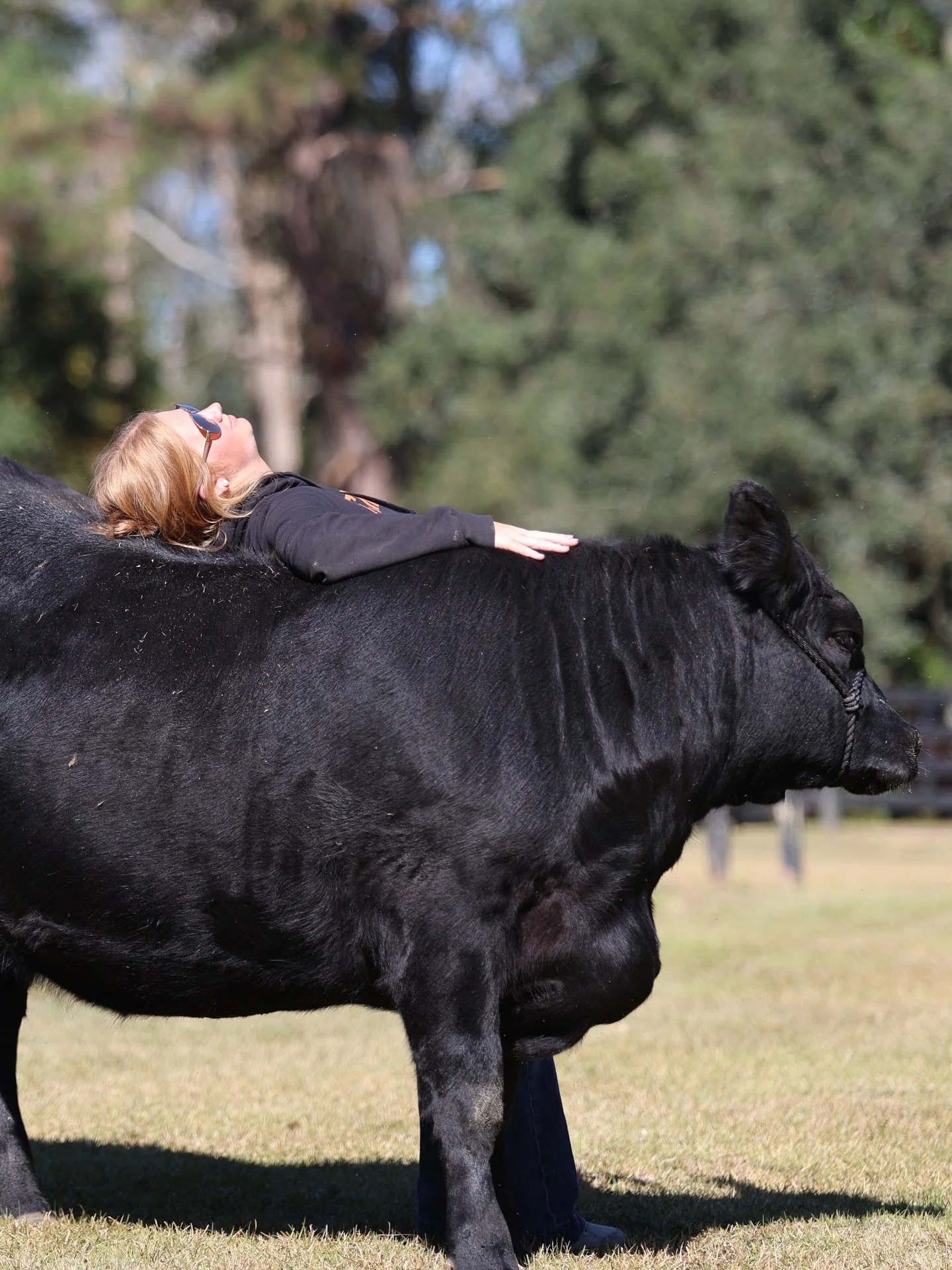 𝙰𝚗𝚢𝚘𝚗𝚎 𝚎𝚕𝚜𝚎 𝚏𝚎𝚎𝚕 𝚝𝚑𝚒𝚜 𝚠𝚊𝚢 𝚛𝚒𝚐𝚑𝚝 𝚗𝚘𝚠?

Come on sunshine! From Oklahoma to Georgia this past week, we&rsquo;ve all felt at the mercies of winter. While we can&rsquo;t control the weather, we might be able to channel our inn