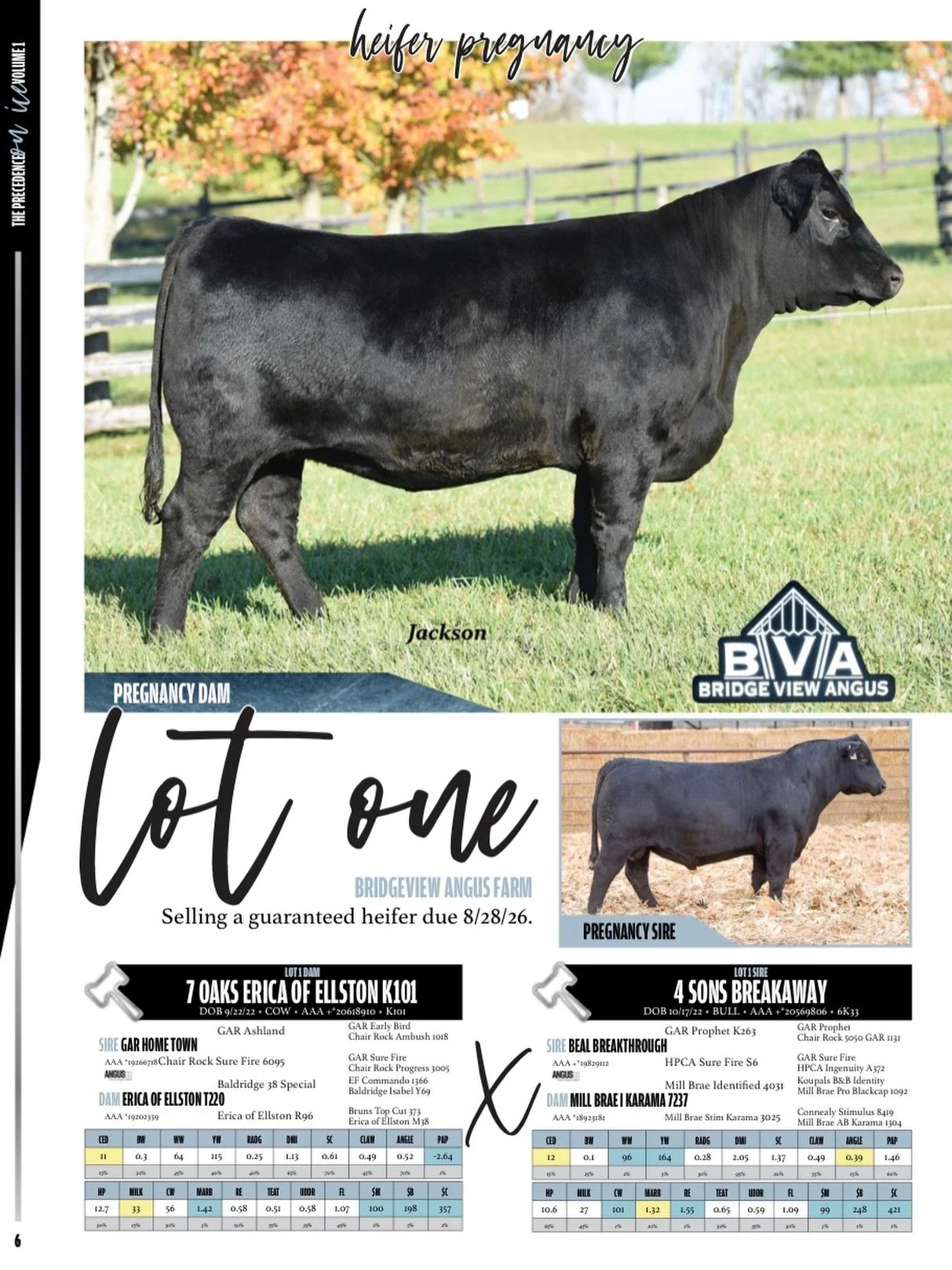 𝙸𝚏 𝚜𝚝𝚘𝚛𝚒𝚎𝚍 𝚙𝚎𝚍𝚒𝚐𝚛𝚎𝚎𝚜 𝚊𝚛𝚎 𝚊𝚝 𝚝𝚑𝚎 𝚝𝚘𝚙 𝚘𝚏 𝚢𝚘𝚞𝚛 𝚜𝚎𝚕𝚎𝚌𝚝𝚒𝚘𝚗 𝚌𝚛𝚒𝚝𝚎𝚛𝚒𝚊, 𝚘𝚞𝚛 𝙻𝚘𝚝 𝟷 𝚜𝚝𝚊𝚛𝚝𝚜 𝚝𝚘𝚗𝚒𝚐𝚑𝚝&rsquo;𝚜 𝚎𝚟𝚎𝚗𝚝 𝚠𝚒𝚝𝚑 𝚊 𝚍𝚘𝚖𝚒𝚗𝚊𝚝𝚎 𝚙𝚕𝚘𝚝...

𝗟𝗼𝘁 𝟭 :: 𝗛𝗲𝗶𝗳𝗲𝗿 ?