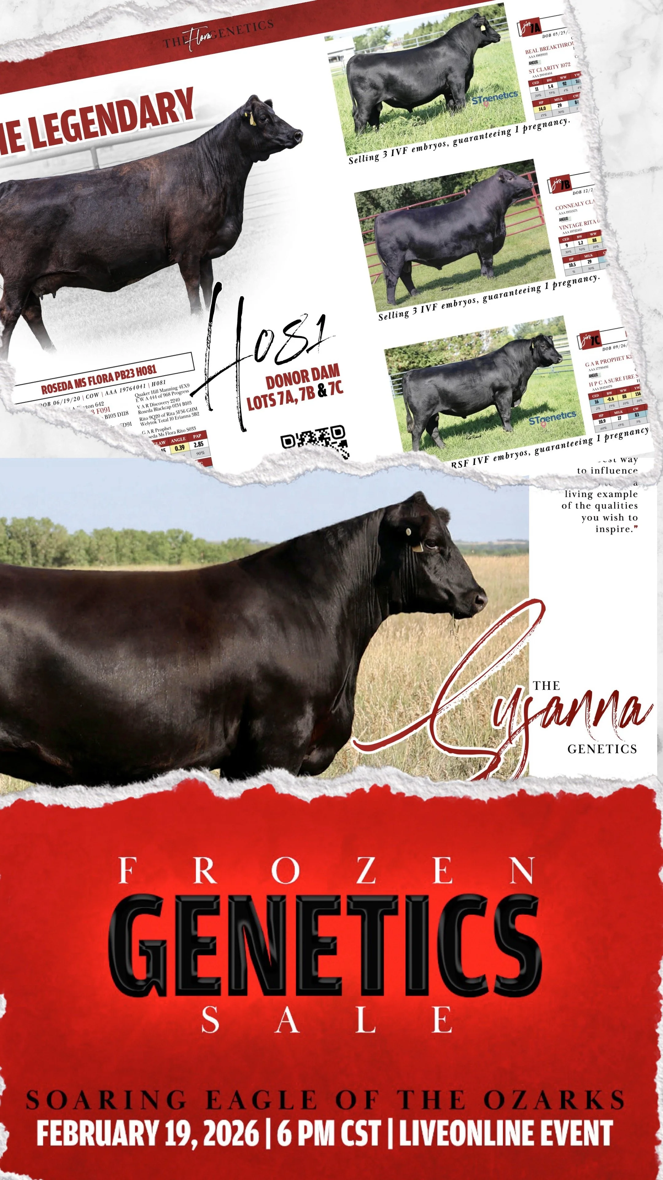 Soaring Eagle of the Ozarks Frozen Genetics Sale