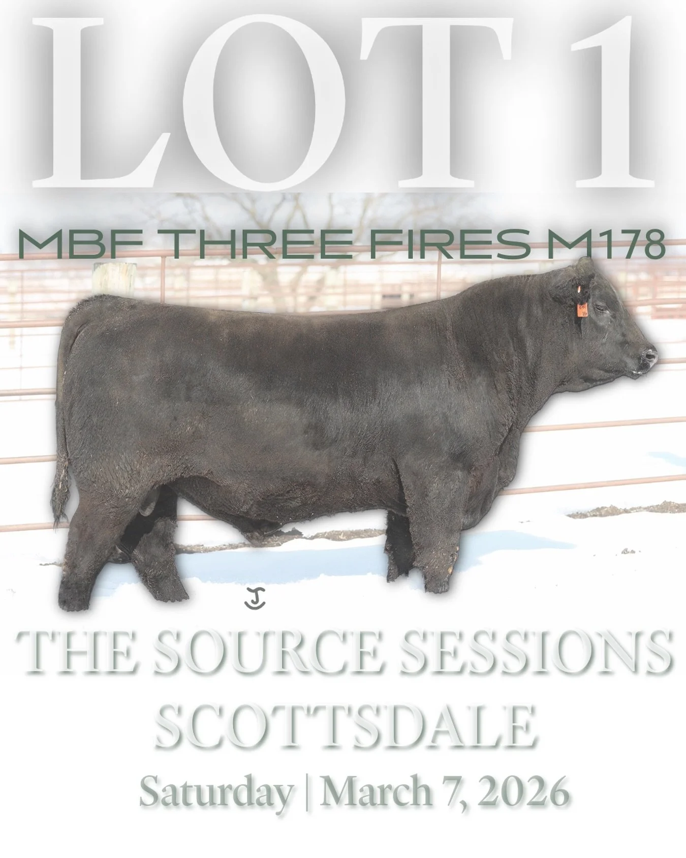 𝙻𝚎𝚊𝚍𝚒𝚗𝚐 𝚘𝚏𝚏 𝚠𝚒𝚝𝚑 𝚏𝚒𝚛𝚎.

𝗟𝗼𝘁 𝟭&bull; 𝗠𝗕𝗙 𝗧𝗛𝗥𝗘𝗘 𝗙𝗜𝗥𝗘𝗦 𝗠𝟭𝟳𝟴
𝙲𝚘𝚗𝚜𝚒𝚐𝚗𝚎𝚍 𝚋𝚢 𝙼𝚊𝚙𝚕𝚎𝚋𝚛𝚘𝚘𝚔 𝙵𝚊𝚛𝚖𝚜

A phenotypic phenom loaded with genetic contributions that move generational performance. This yo