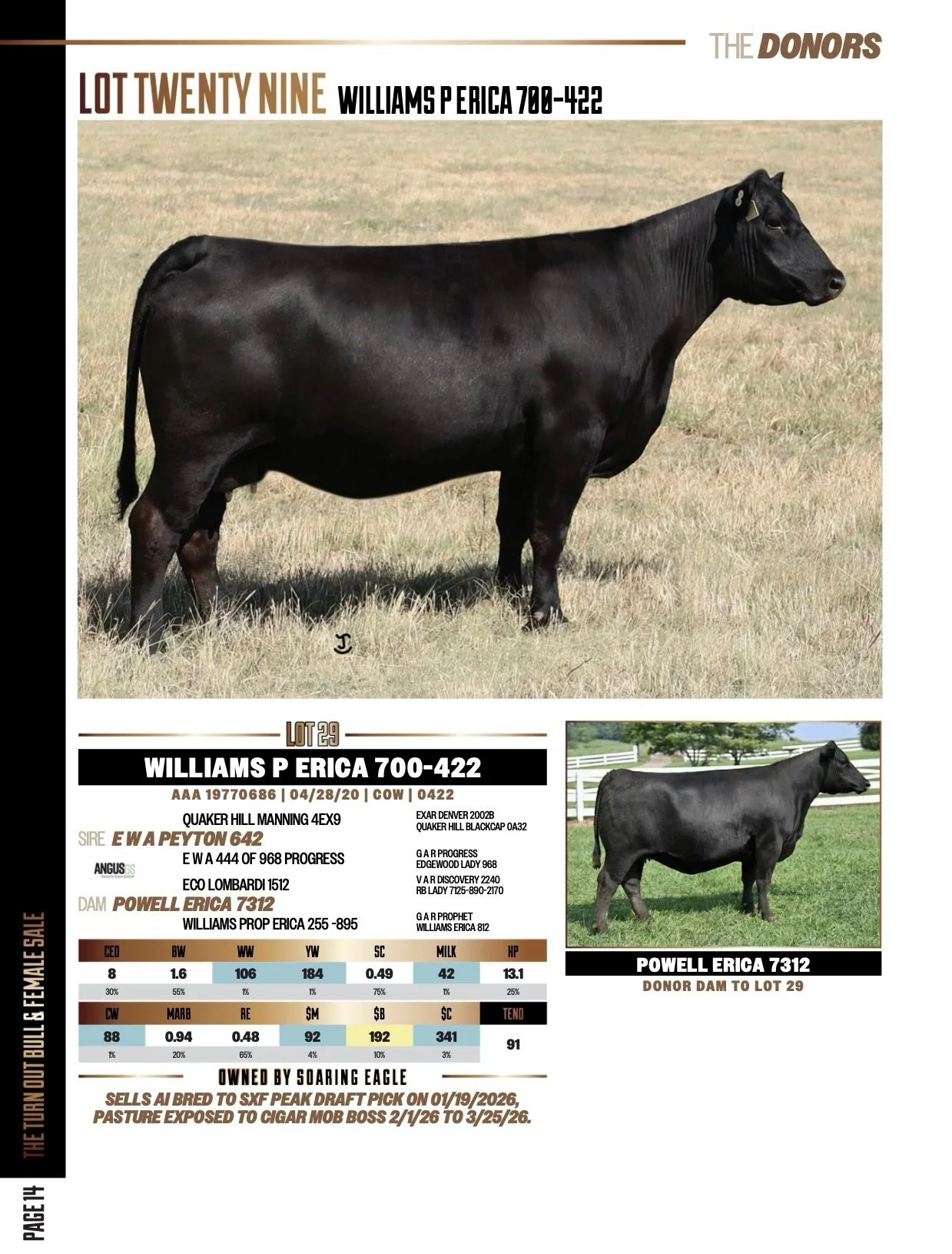 Your bidding opportunity goes live today at 1:00 PM Central for 𝗧𝗵𝗲 𝗧𝘂𝗿𝗻 𝗢𝘂𝘁 &mdash; a chosen group of donors, pairs, and bulls built to make you money. Serious cattlemen are already in! 

🔥 Featured Lot 29: 𝗪𝗶𝗹𝗹𝗶𝗮𝗺𝘀 𝗣 𝗘𝗿𝗶𝗰𝗮 