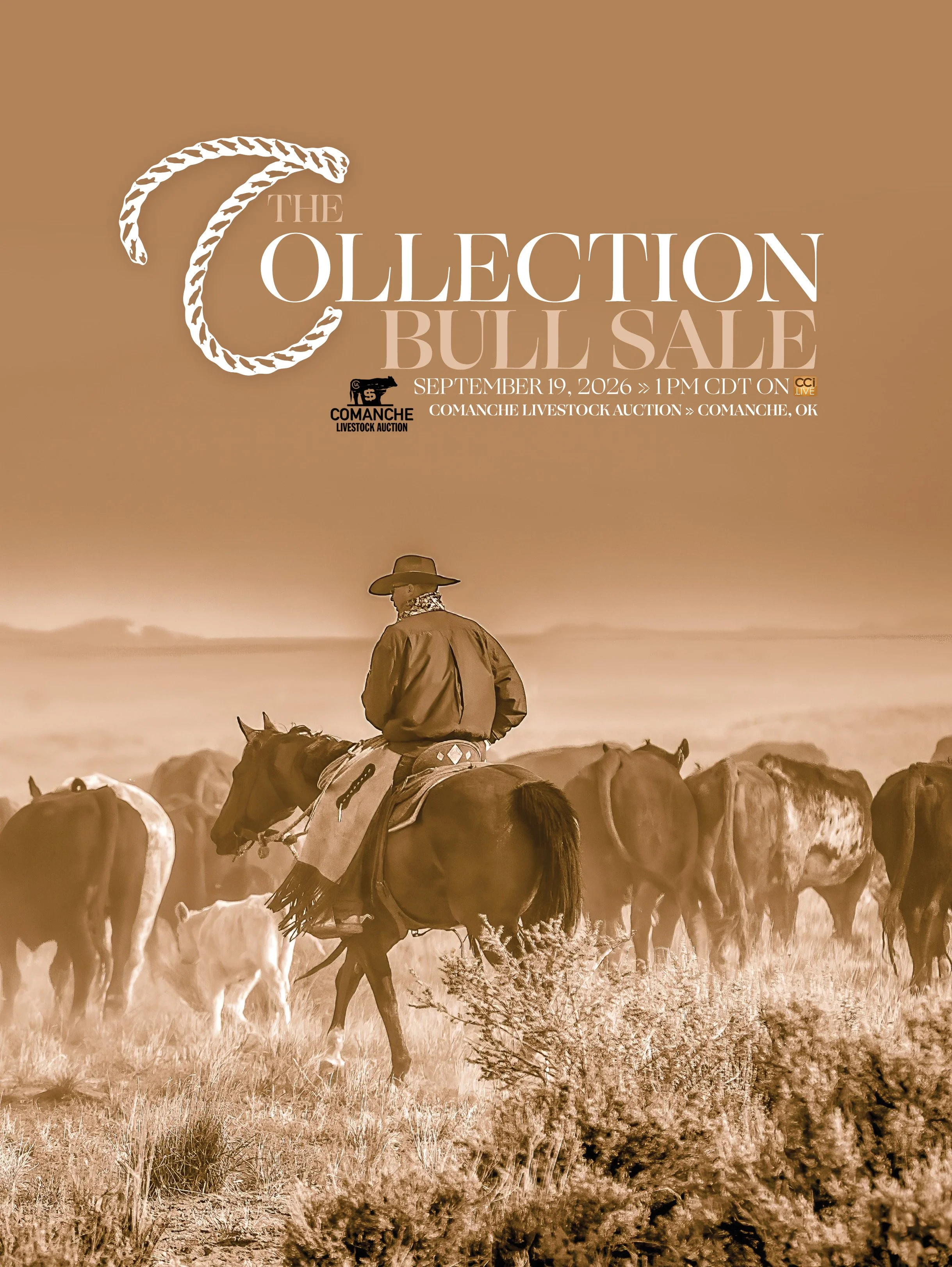 The Collection Bull Sale