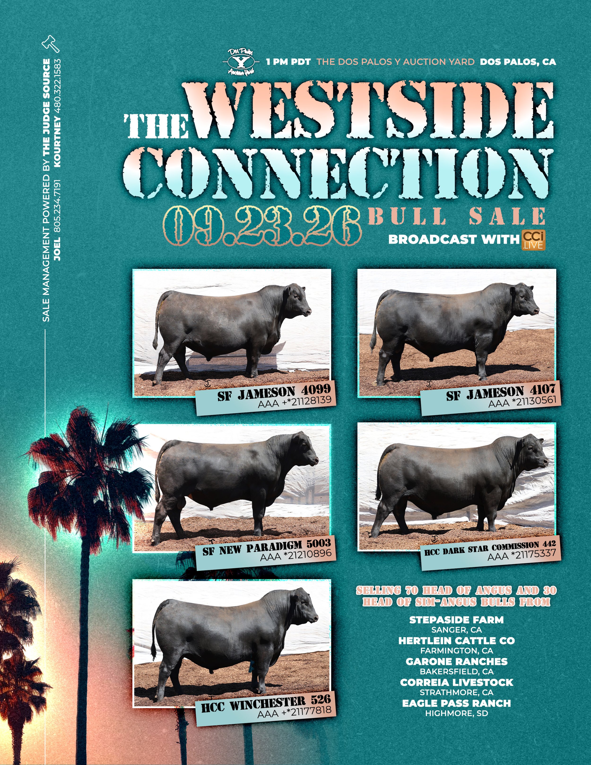 Westside Connection: Bull & Female Sale
