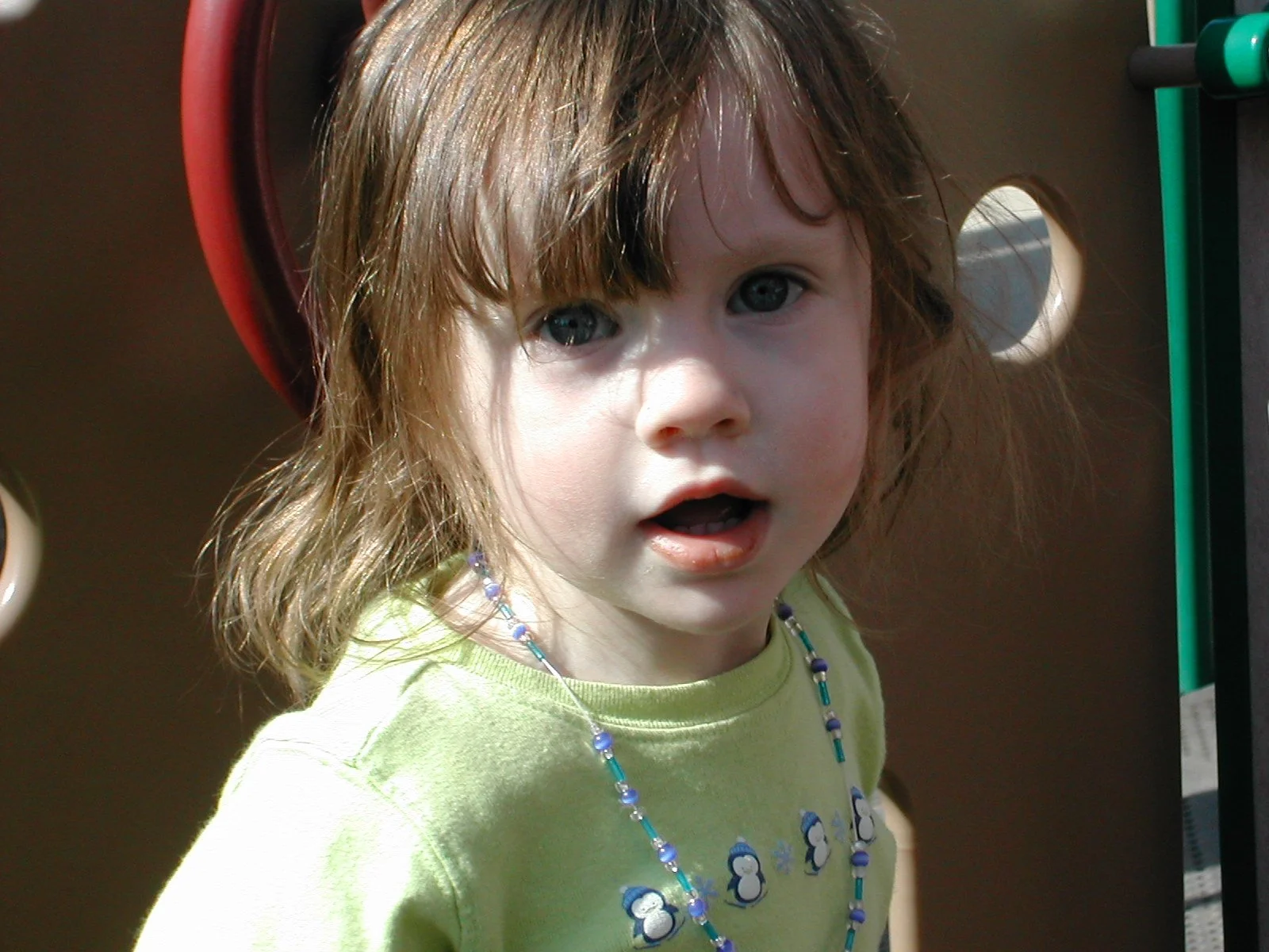 Copy (2) of DSCN0345.JPG