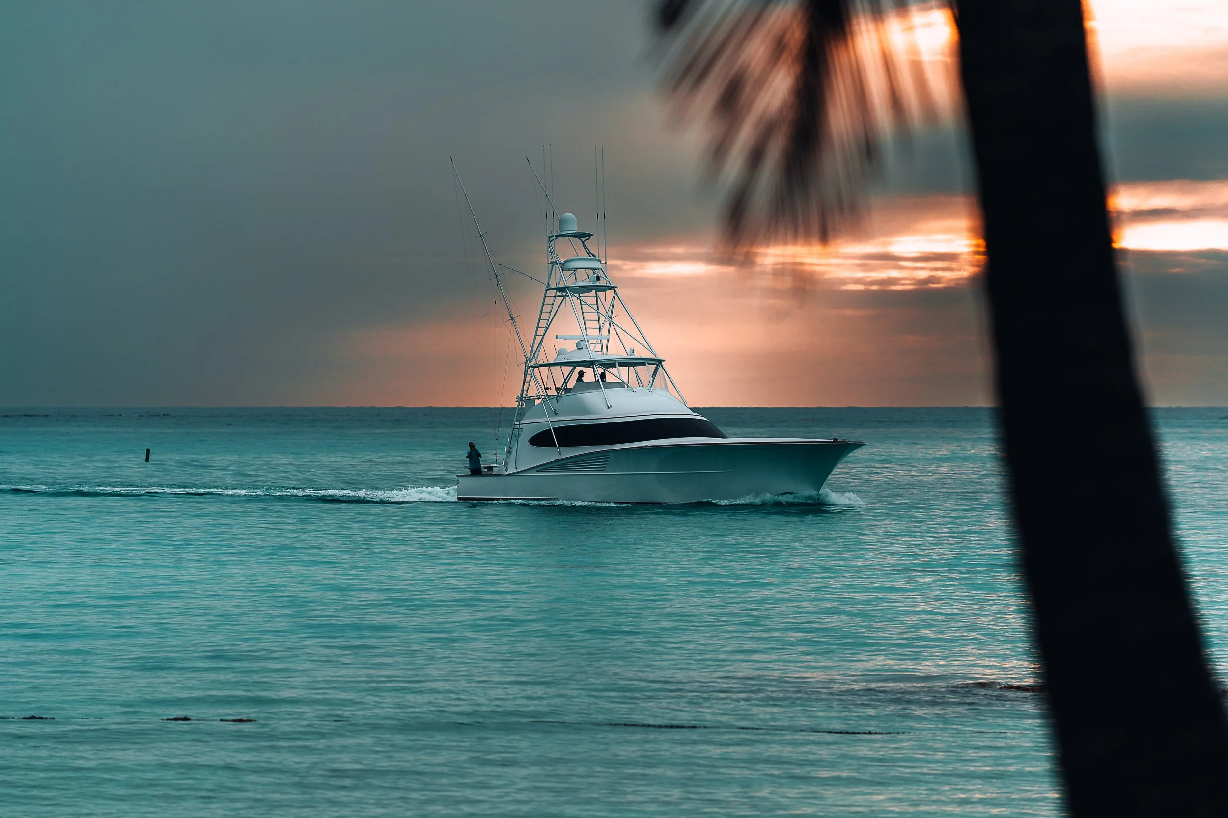 Fishing boat on ocean during sunset with palm tree silhouette.