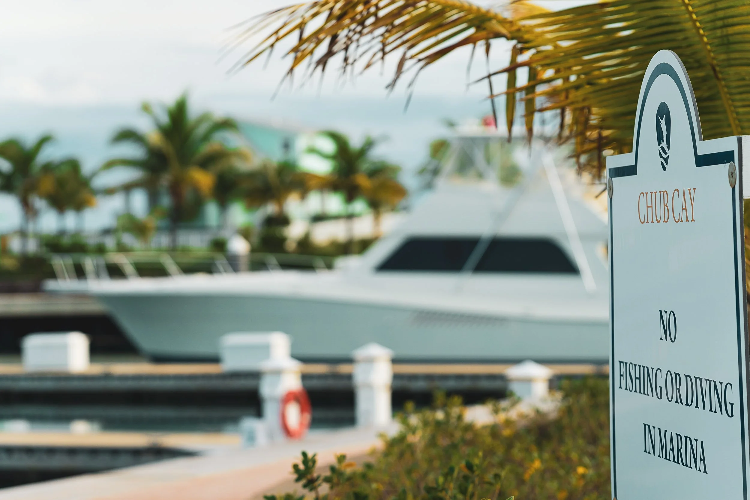 Sign by marina reading "Chub Cay No Fishing or Diving in Marina," with a blurred yacht and palm trees in the background.