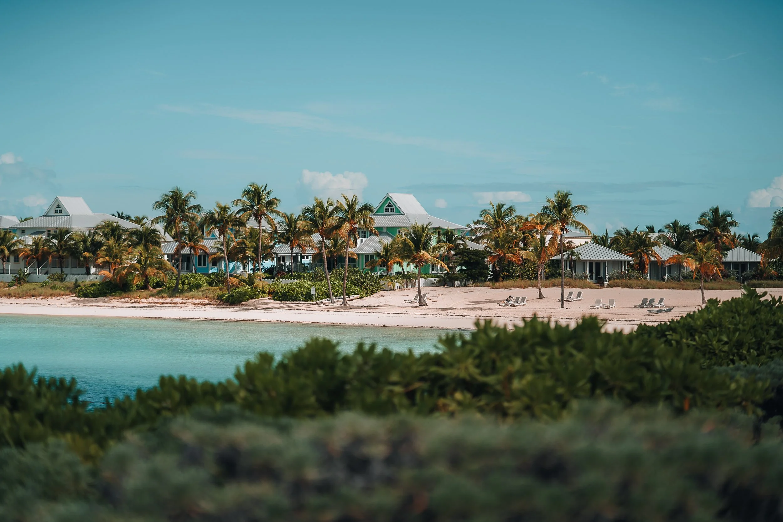Tropical beach scene with palm trees, sandy shore, resort buildings, and clear blue sky.