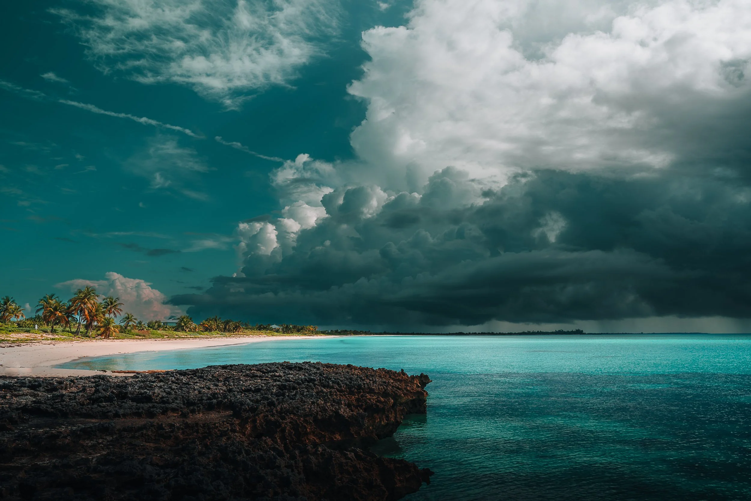 Tropical beach with palm trees, turquoise ocean, and dramatic cloudy sky.