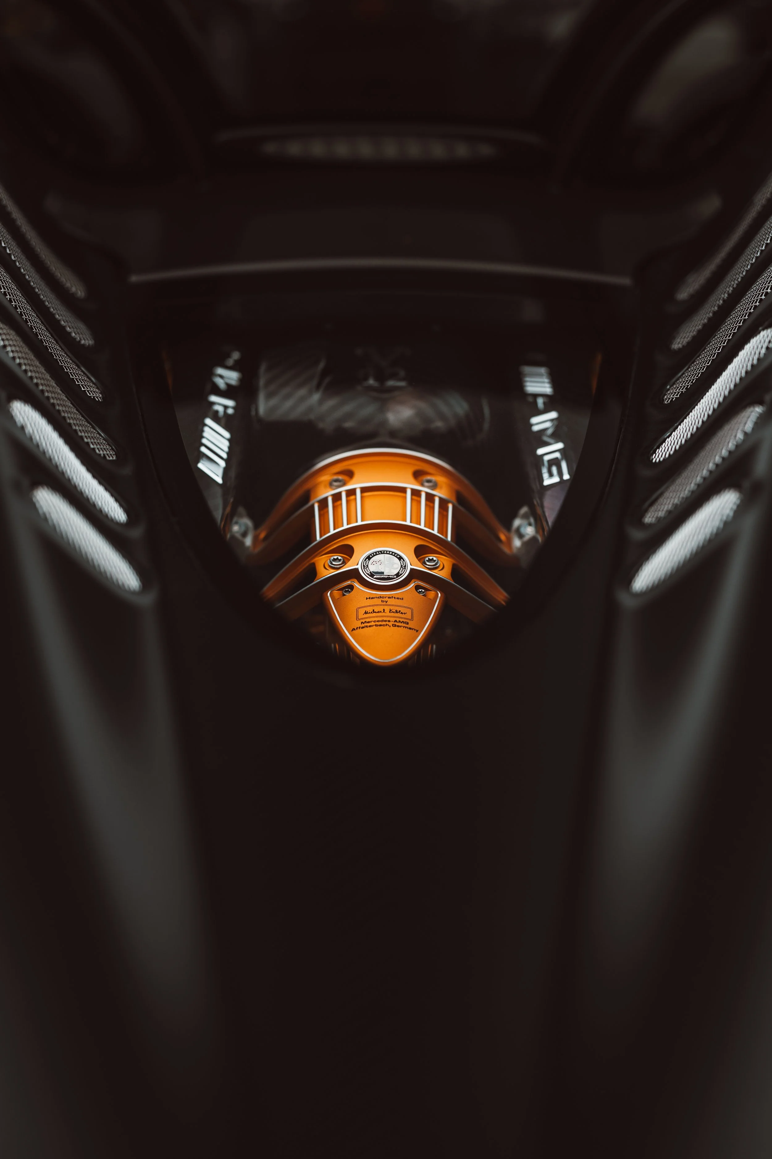 R6II7305.jpg
