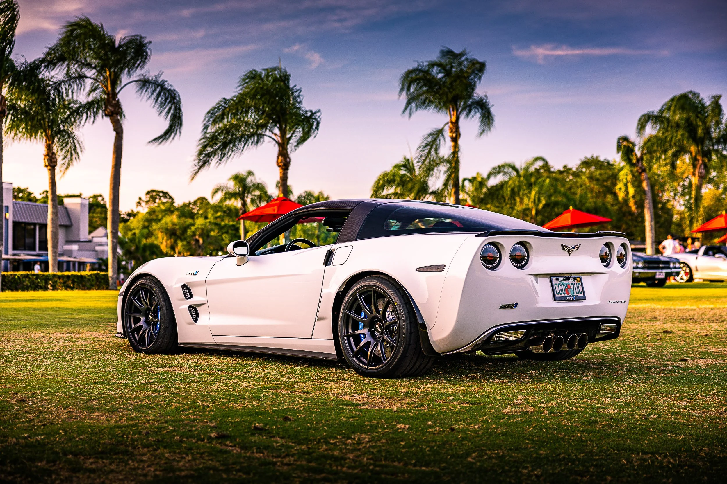 White Corvette ZR1 parked on grass with palm trees and a house in the background during sunset.