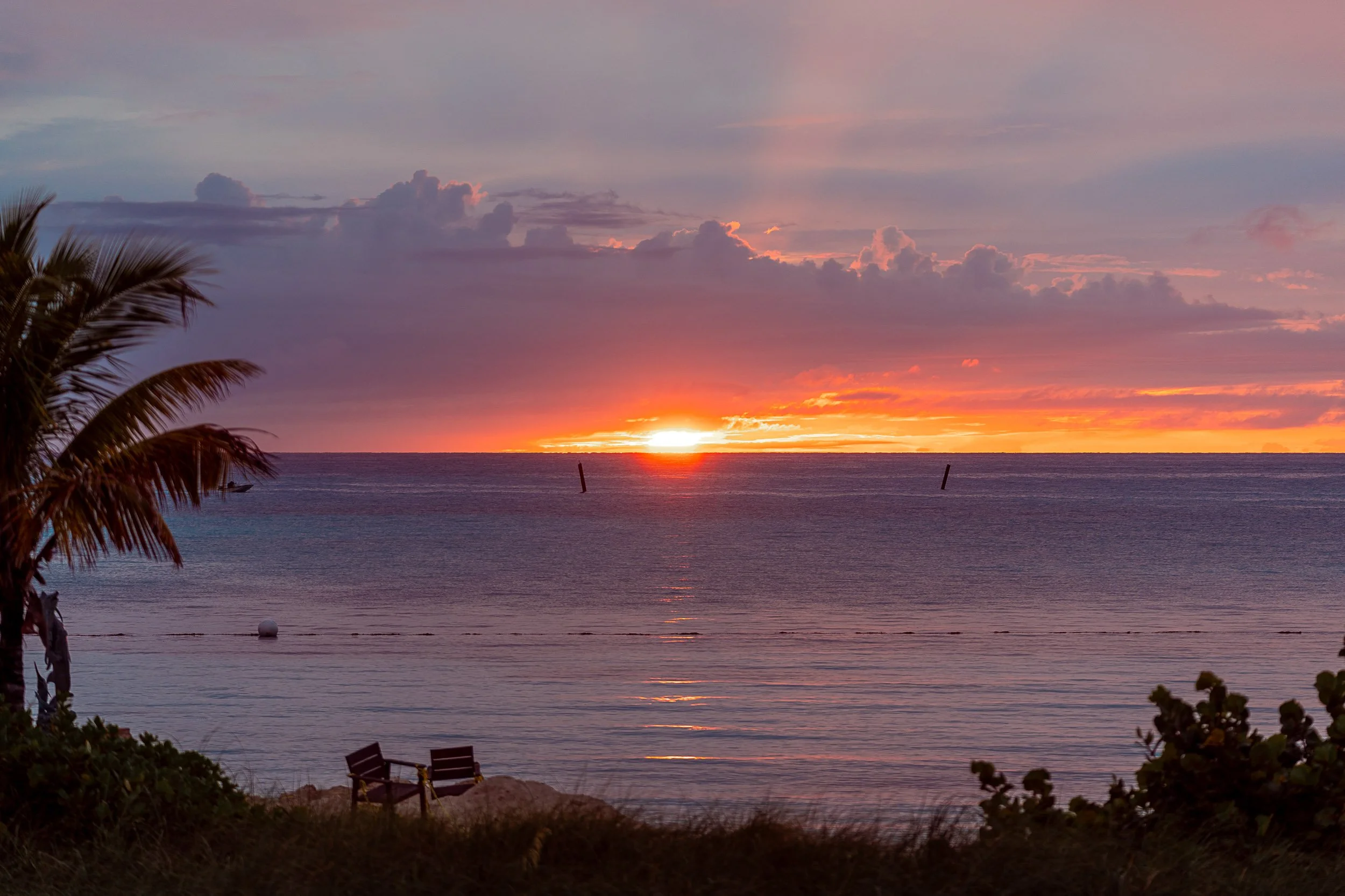 Beach sunset with palm tree and chairs