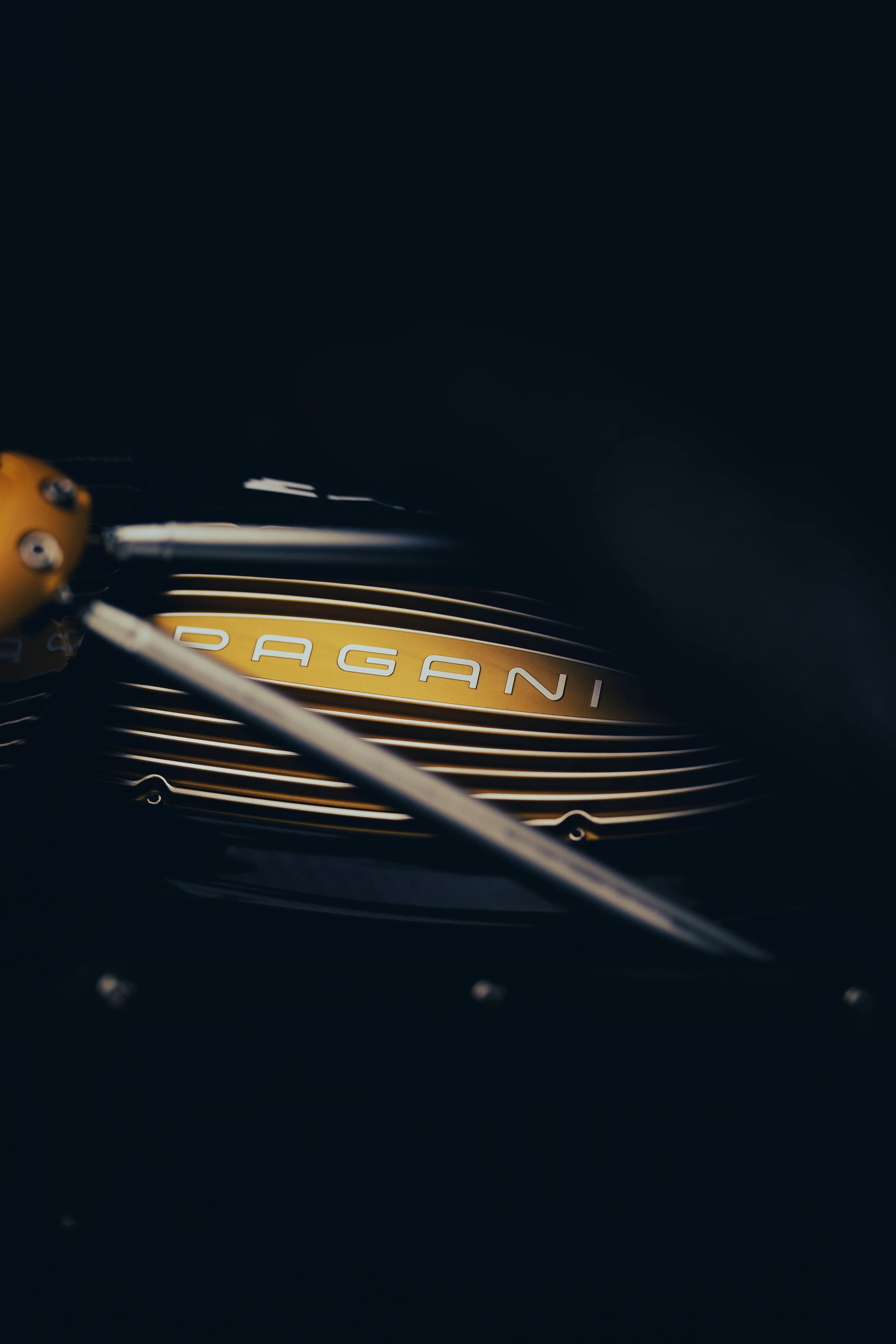 R6II7444.jpg