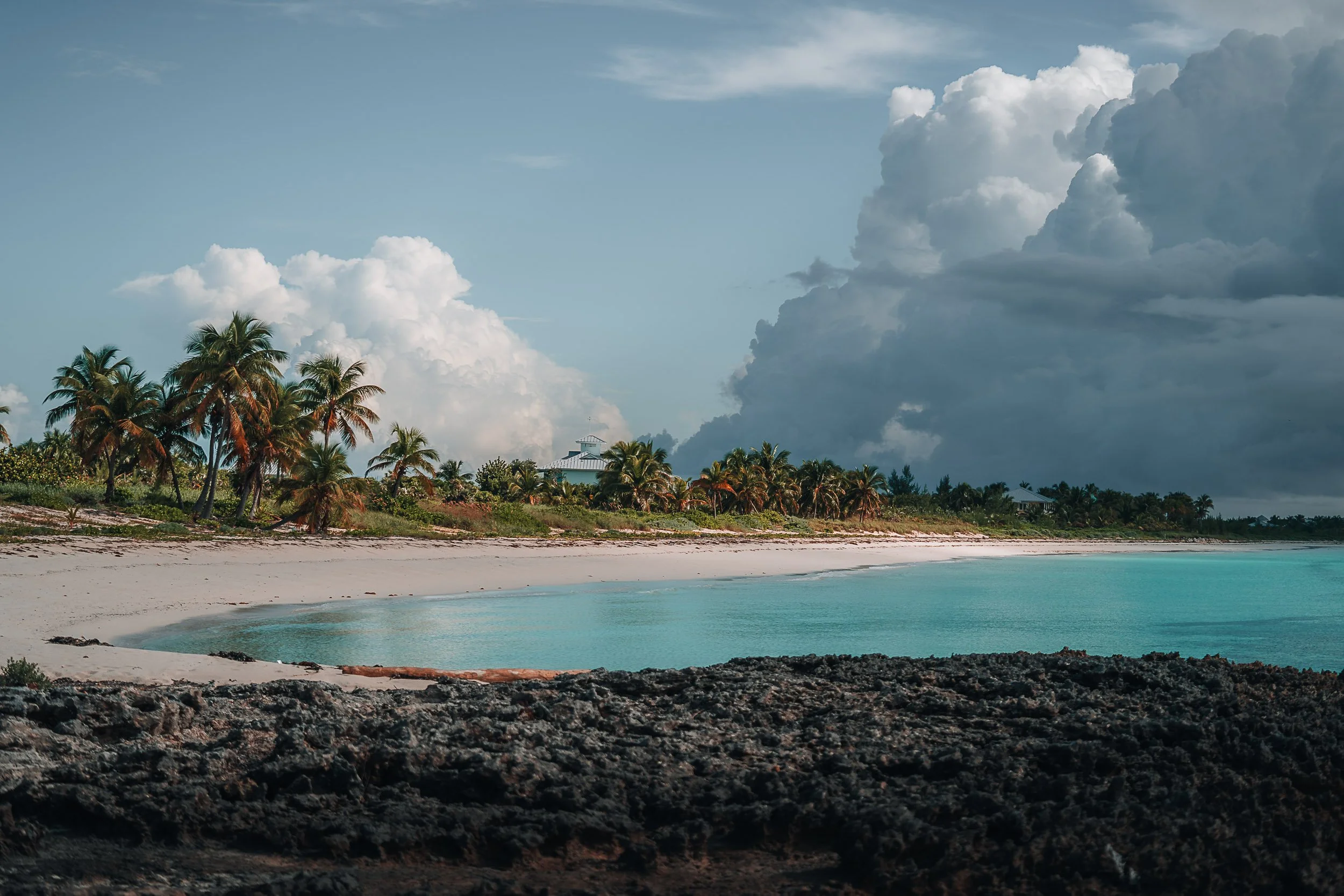 Tropical beach with palm trees and blue water, cloudy sky in the background, rocky foreground.