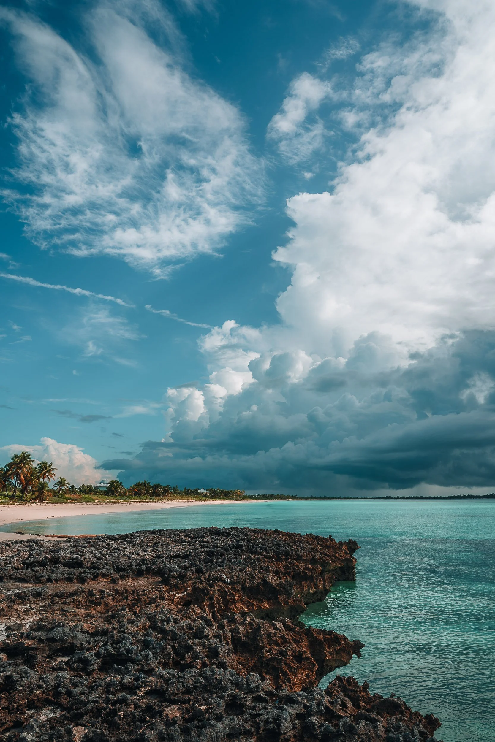 Rocky beach with turquoise water, coconut palm trees, and cloudy sky.