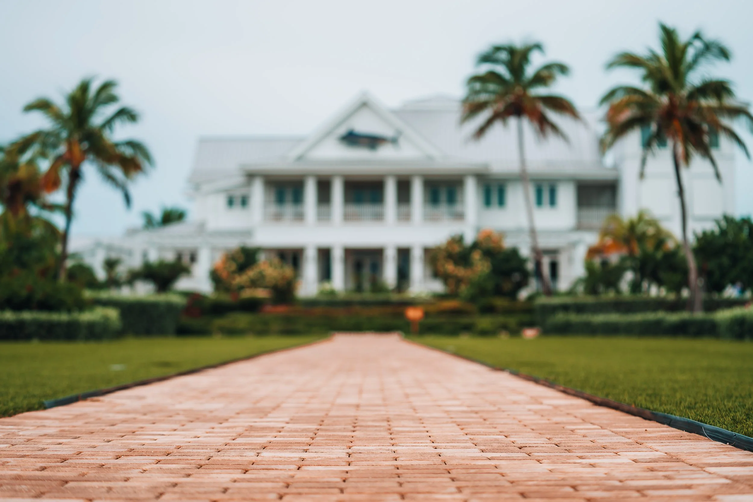 Luxury house with palm trees and a brick pathway
