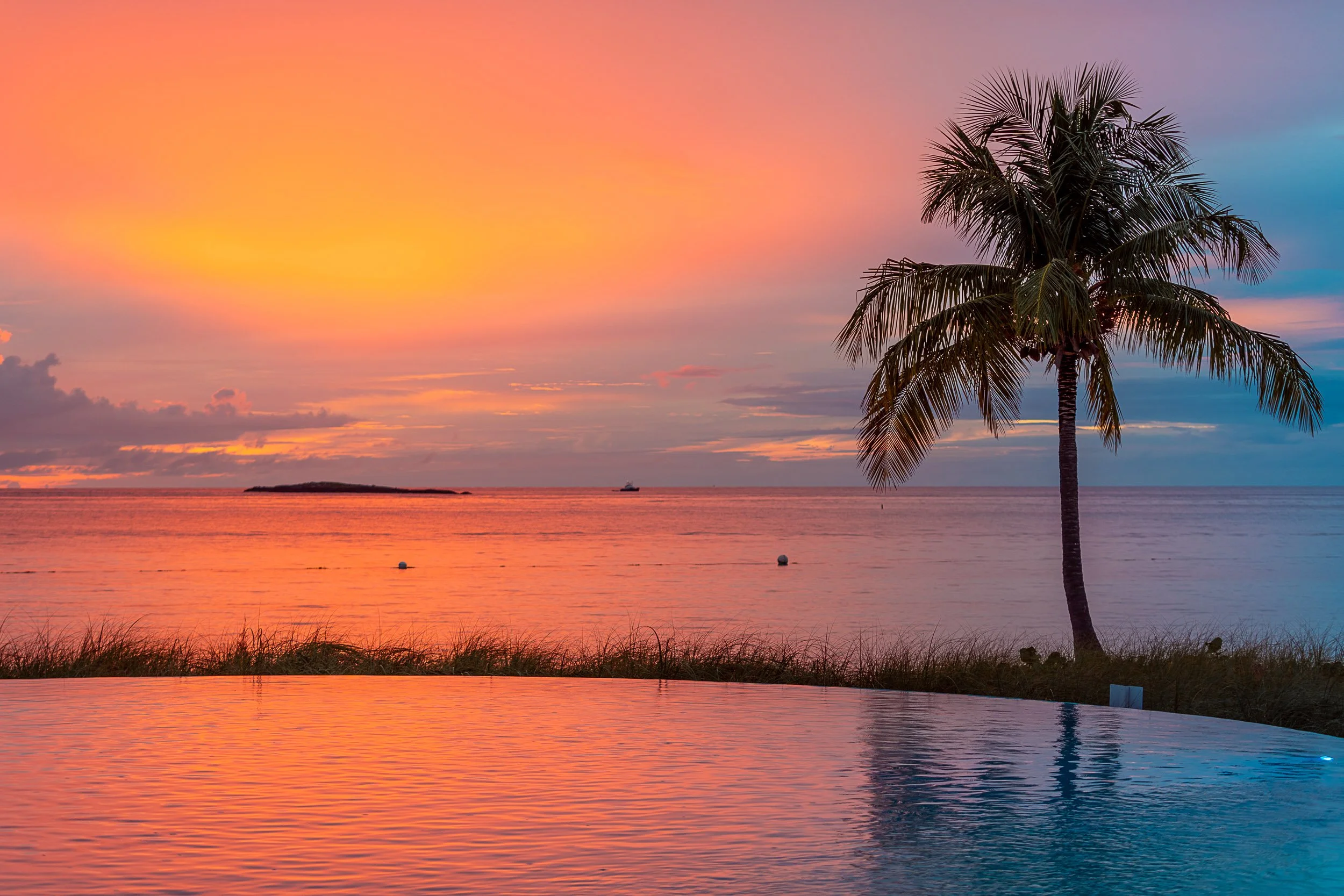 Sunset over ocean with palm tree silhouette and infinity pool in foreground.